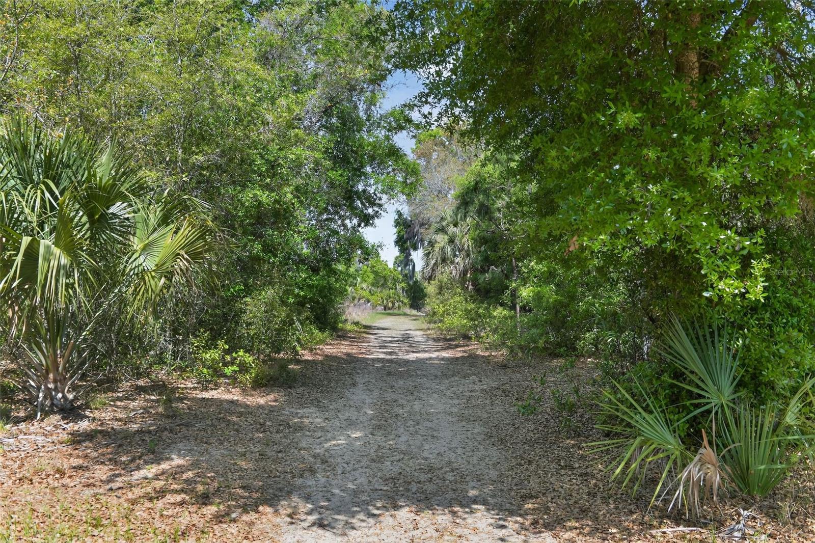2518 MAYWOOD ST, EUSTIS, FL, 32726