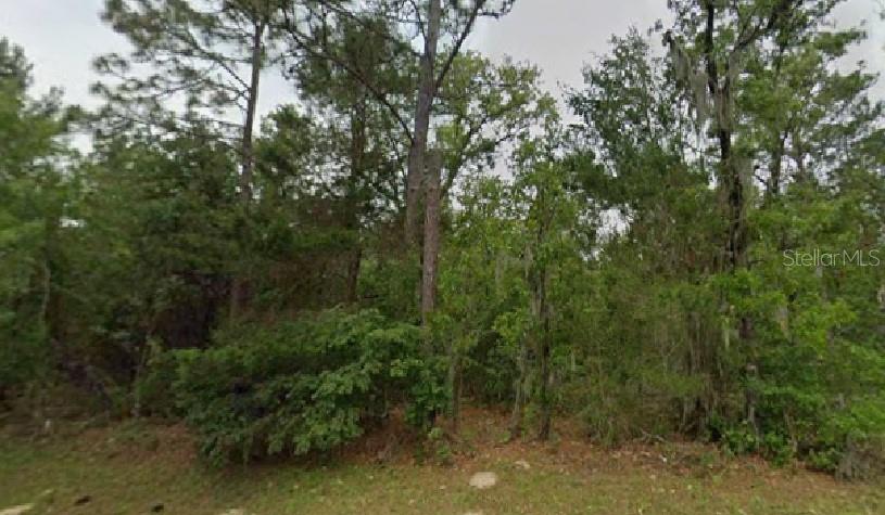 MARION OAKS BLVD, OCALA, FL, 34473