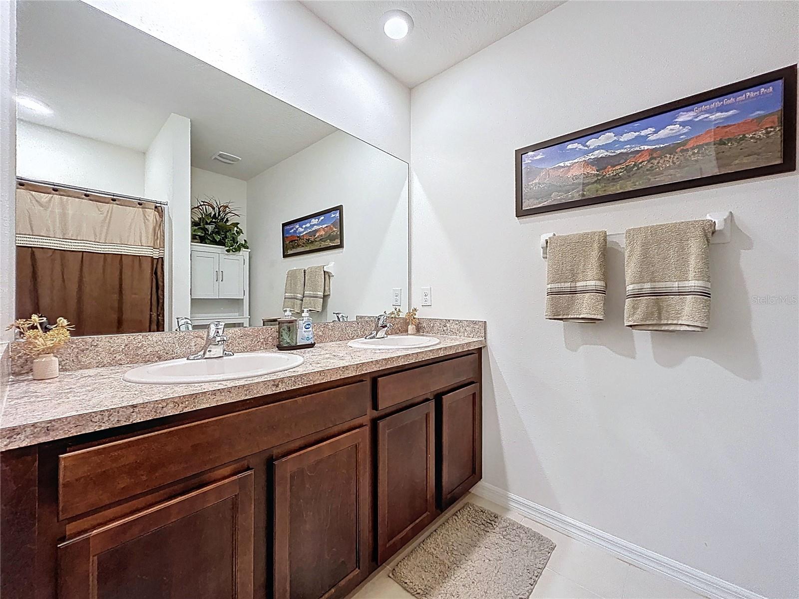 32753 PEZ LANDING LN, WESLEY CHAPEL, FL, 33543