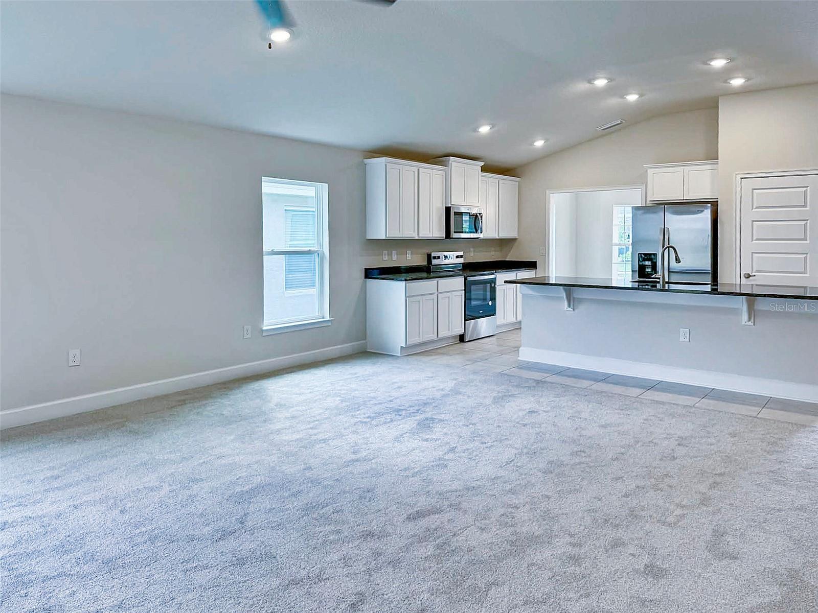 1643 ANN ROSE WAY, LEESBURG, FL, 34748