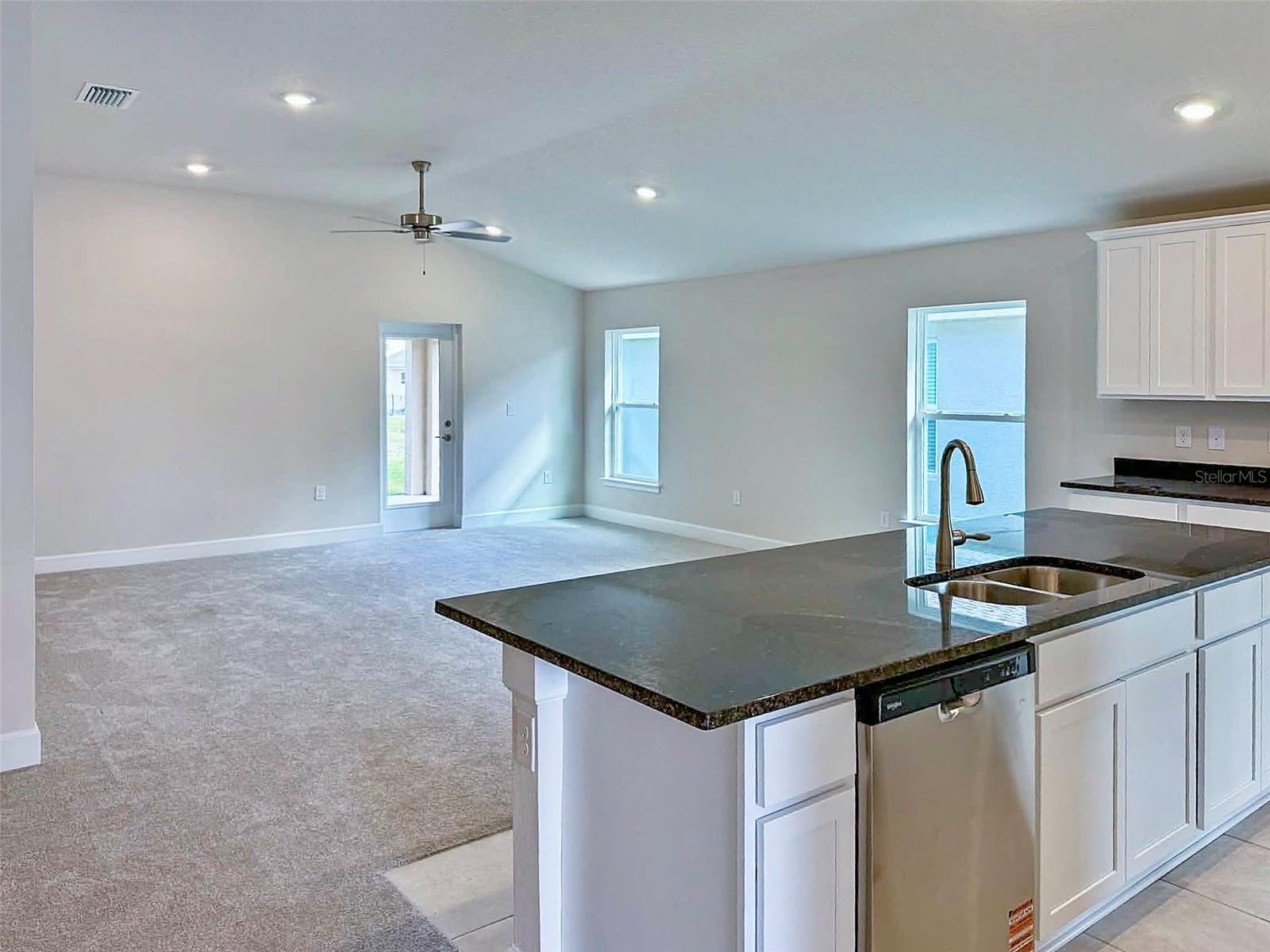 1643 ANN ROSE WAY, LEESBURG, FL, 34748