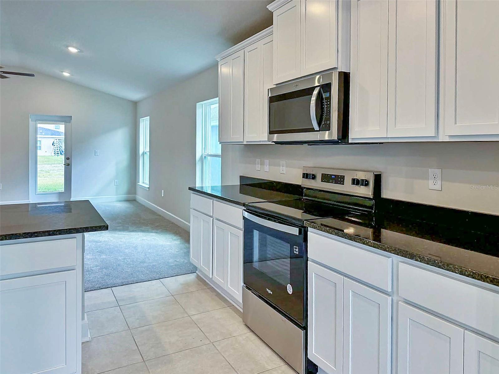1643 ANN ROSE WAY, LEESBURG, FL, 34748