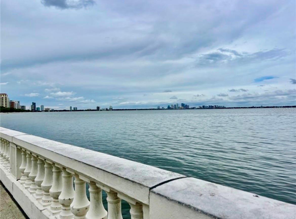 5221 BAYSHORE BLVD #29, TAMPA, FL, 33611