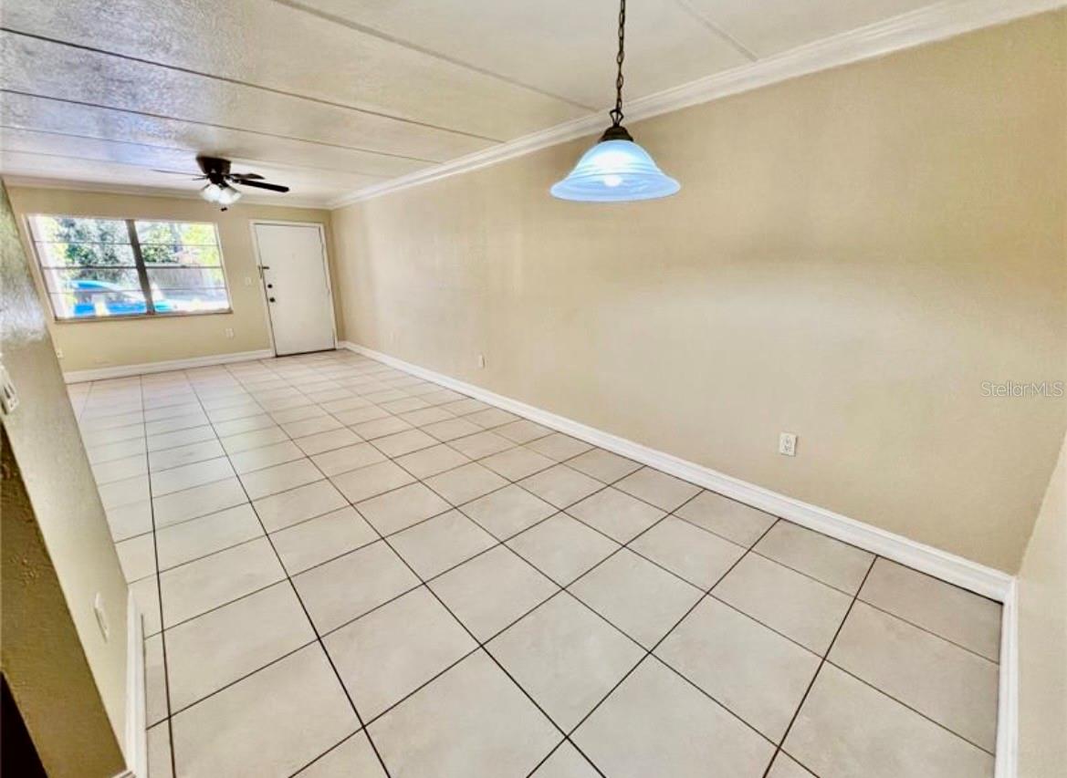 5221 BAYSHORE BLVD #29, TAMPA, FL, 33611