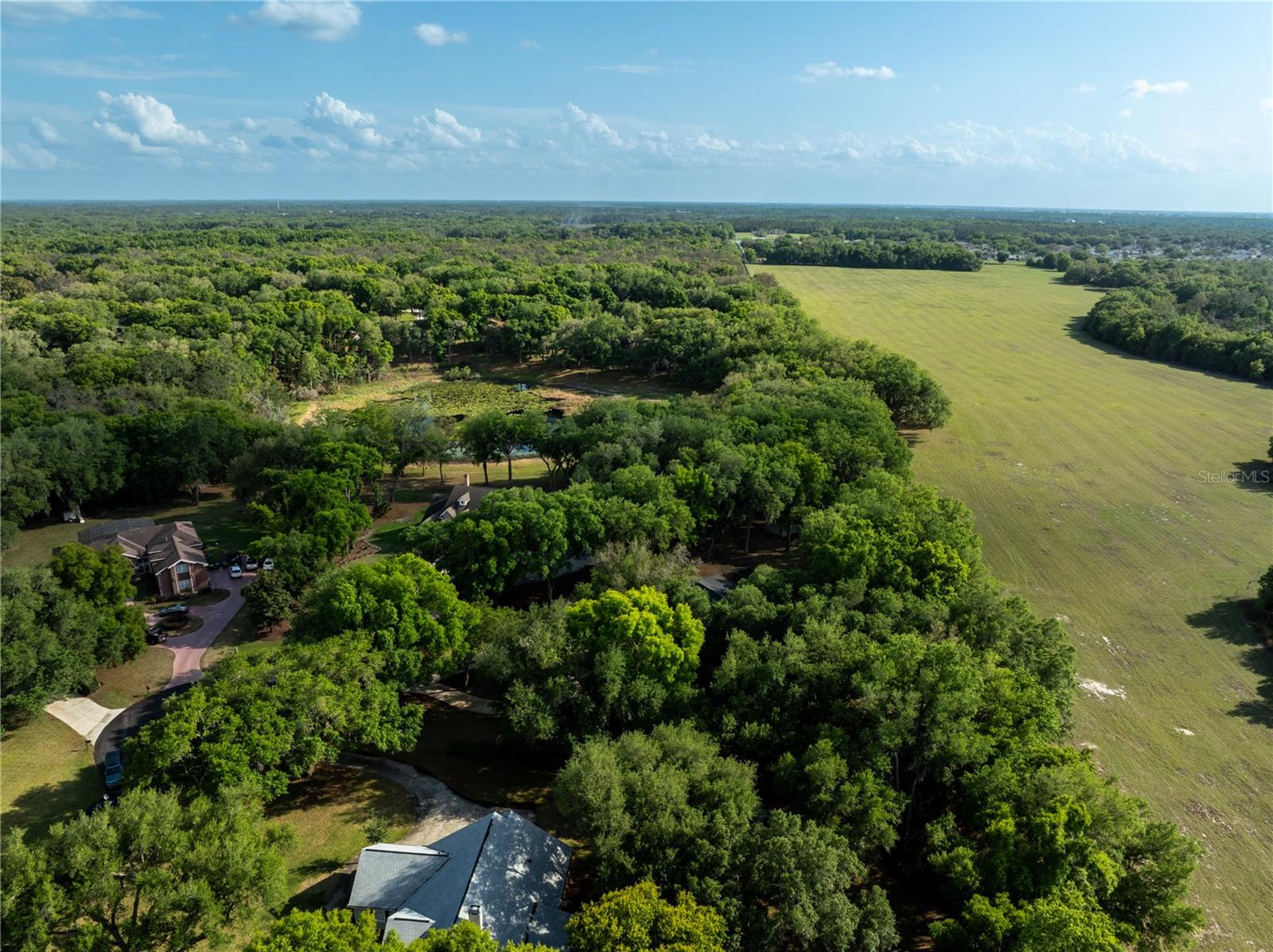 1324 OTTERS VIEW CT, FRUITLAND PARK, FL, 34731