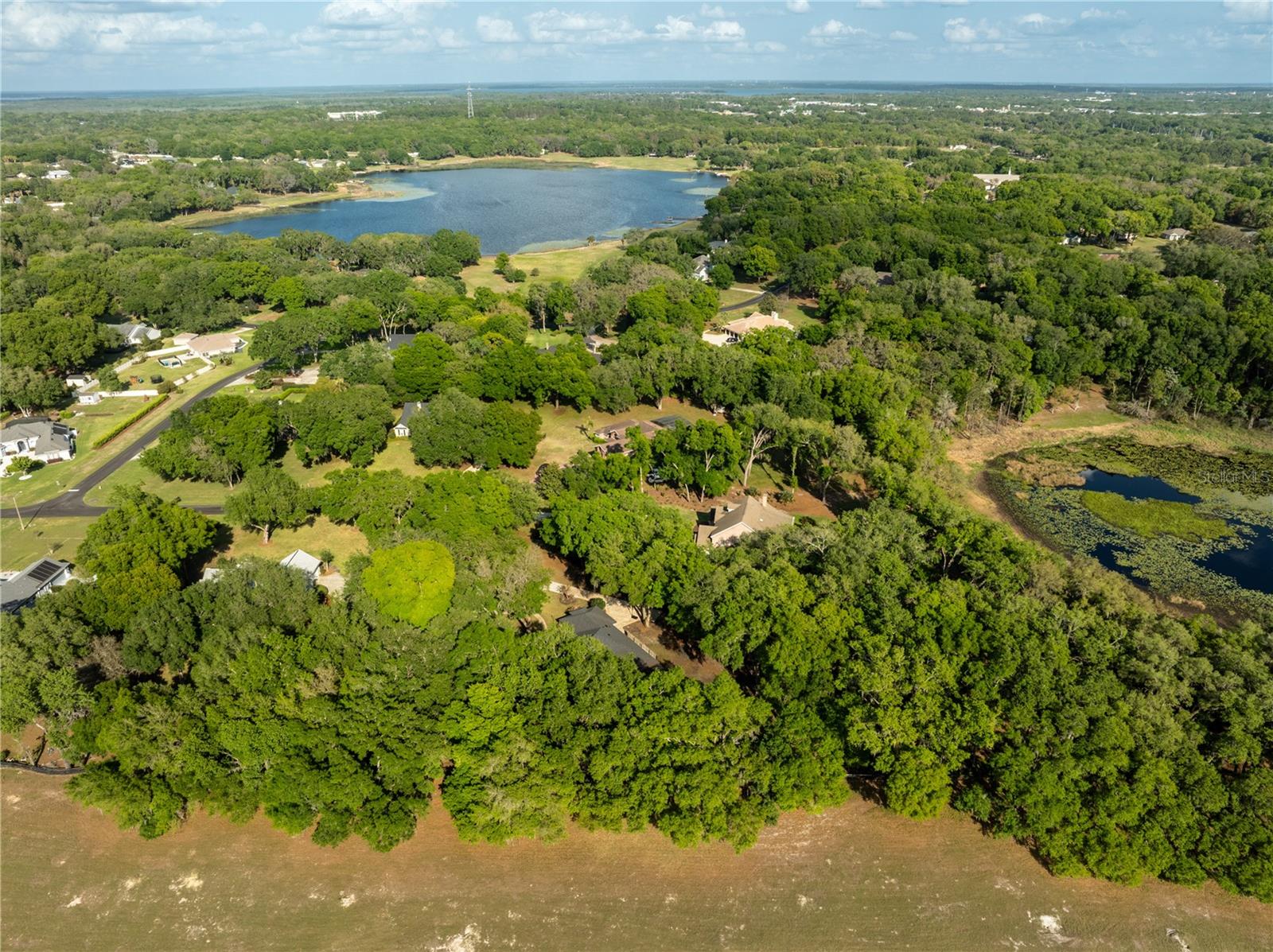 1324 OTTERS VIEW CT, FRUITLAND PARK, FL, 34731