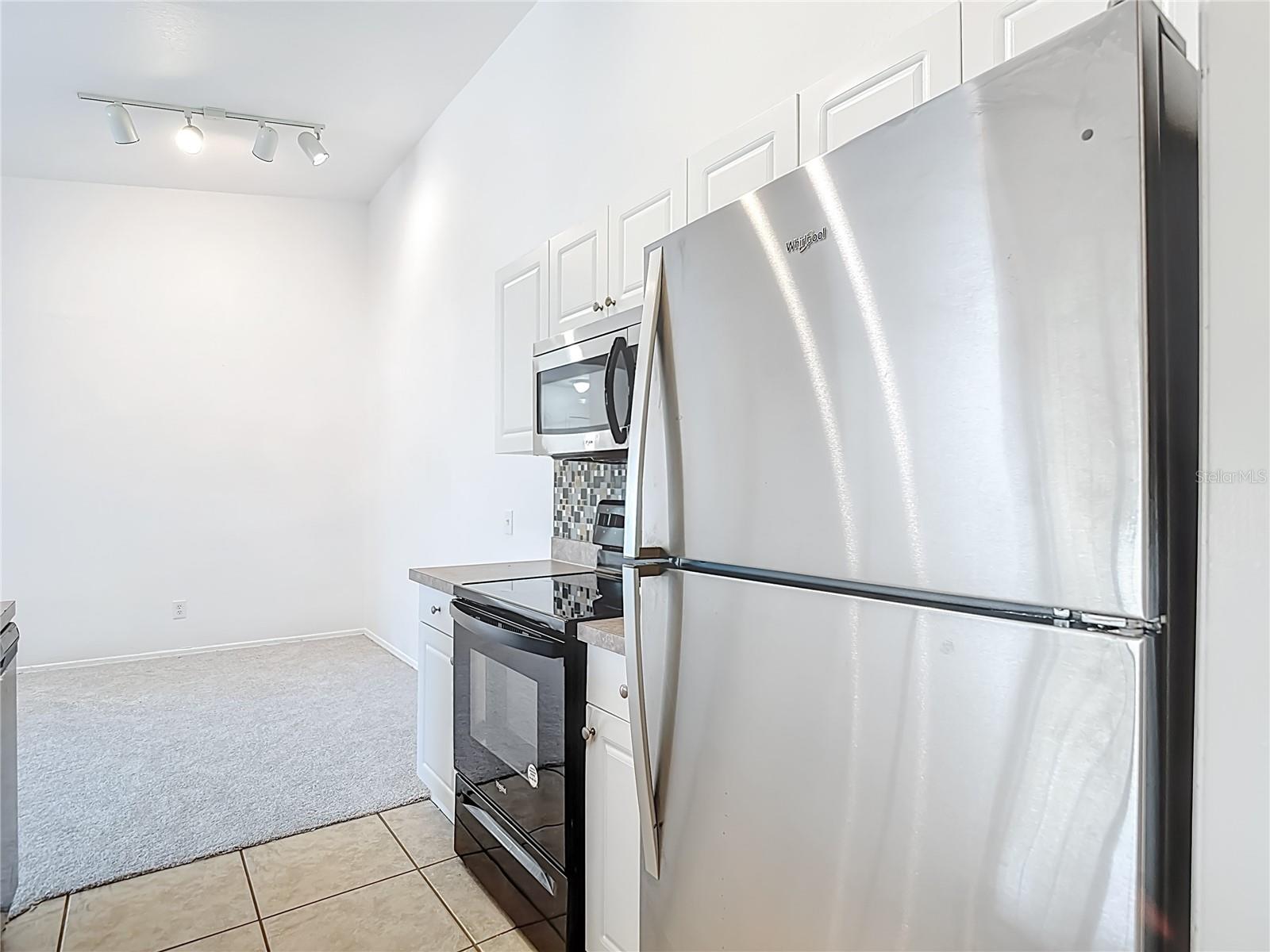 36106 LAKE CHASE BLVD #201, ZEPHYRHILLS, FL, 33541