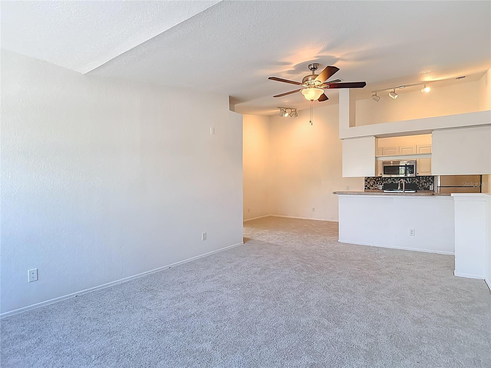36106 LAKE CHASE BLVD #201, ZEPHYRHILLS, FL, 33541