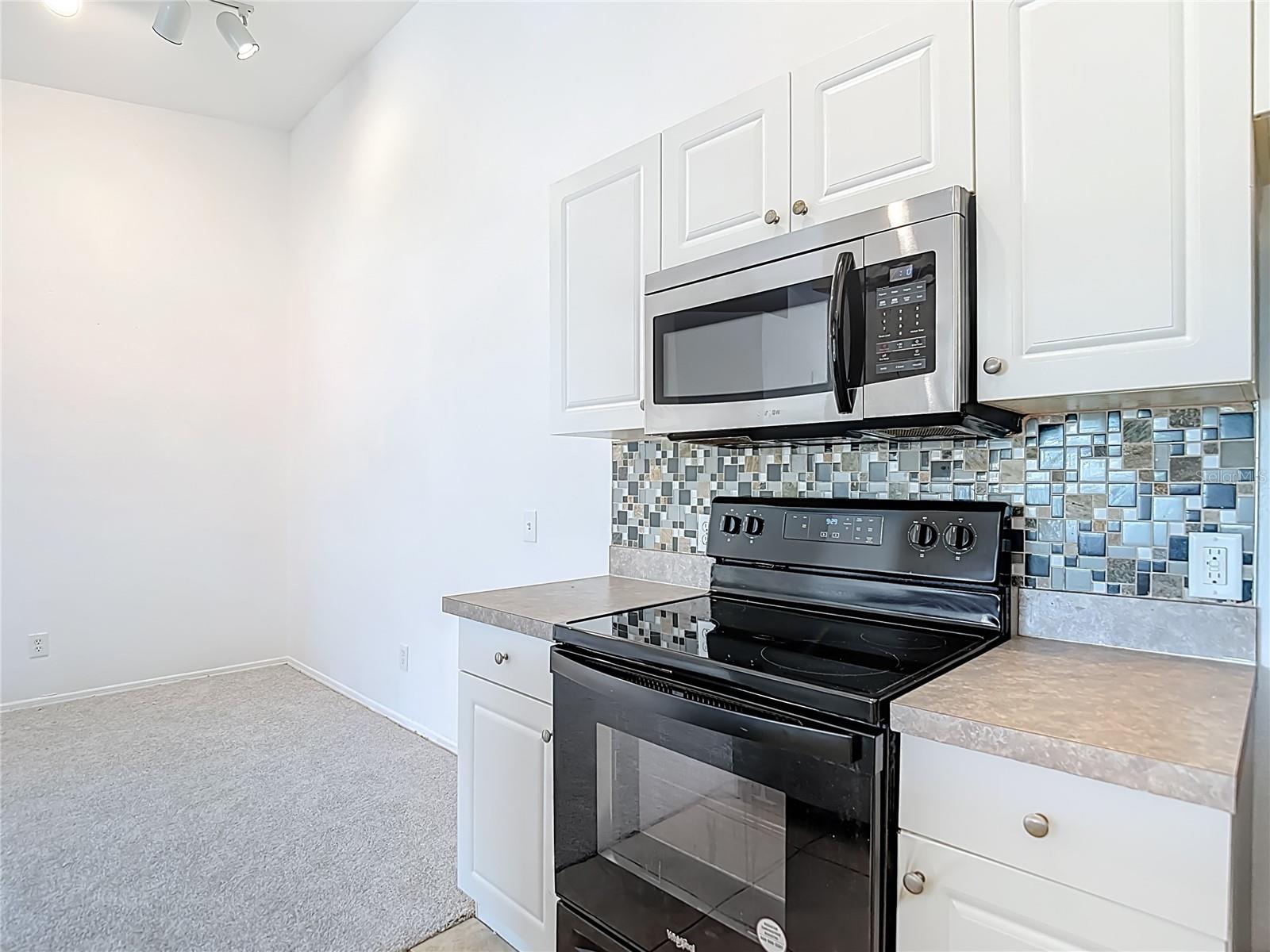 36106 LAKE CHASE BLVD #201, ZEPHYRHILLS, FL, 33541