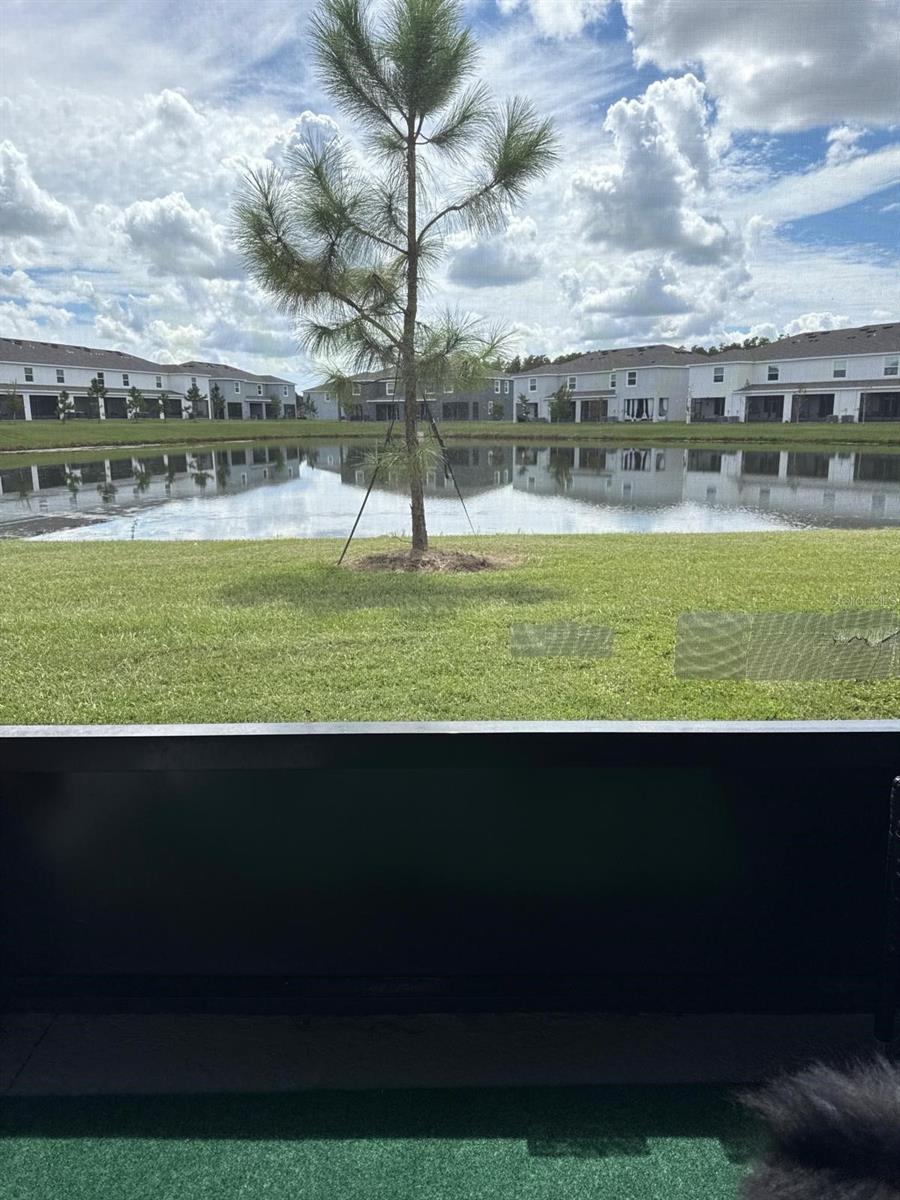 32364 TURTLE GRACE LOOP, WESLEY CHAPEL, FL, 33545