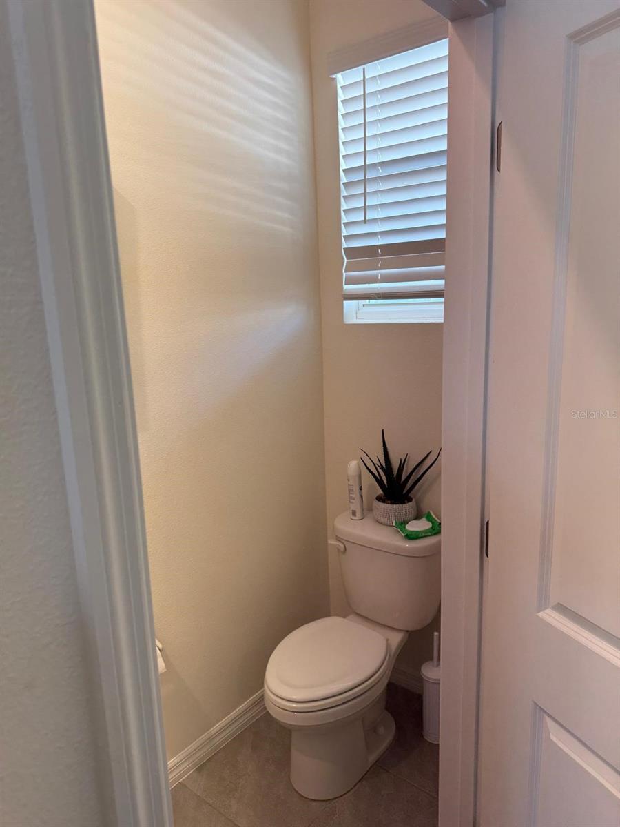 32364 TURTLE GRACE LOOP, WESLEY CHAPEL, FL, 33545