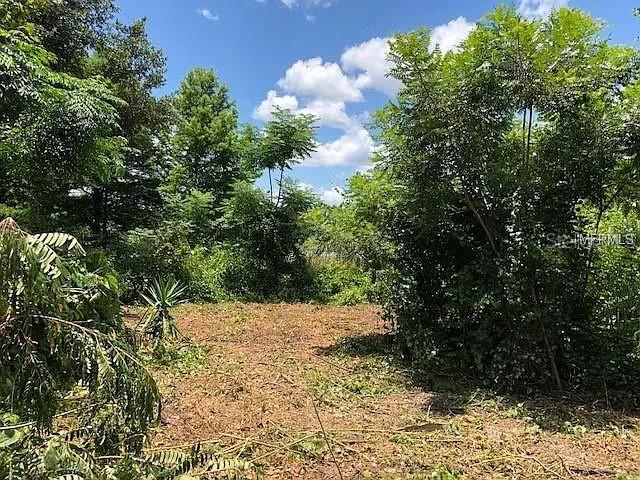 257 LAKE LN, DEBARY, FL, 32713
