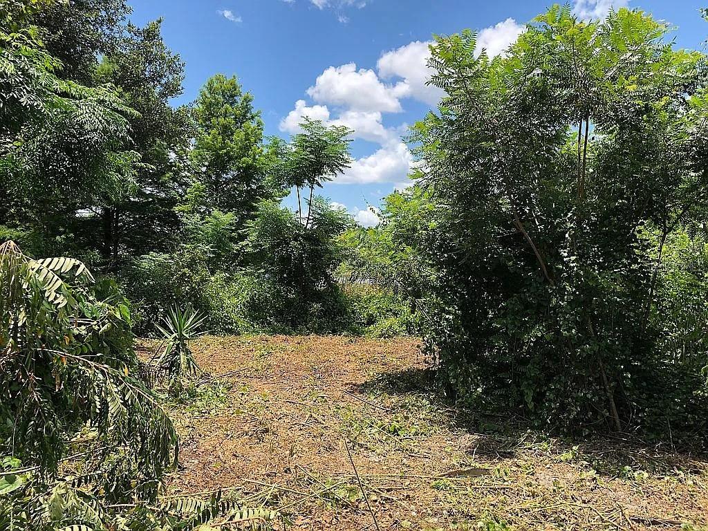 257 LAKE LN, DEBARY, FL, 32713