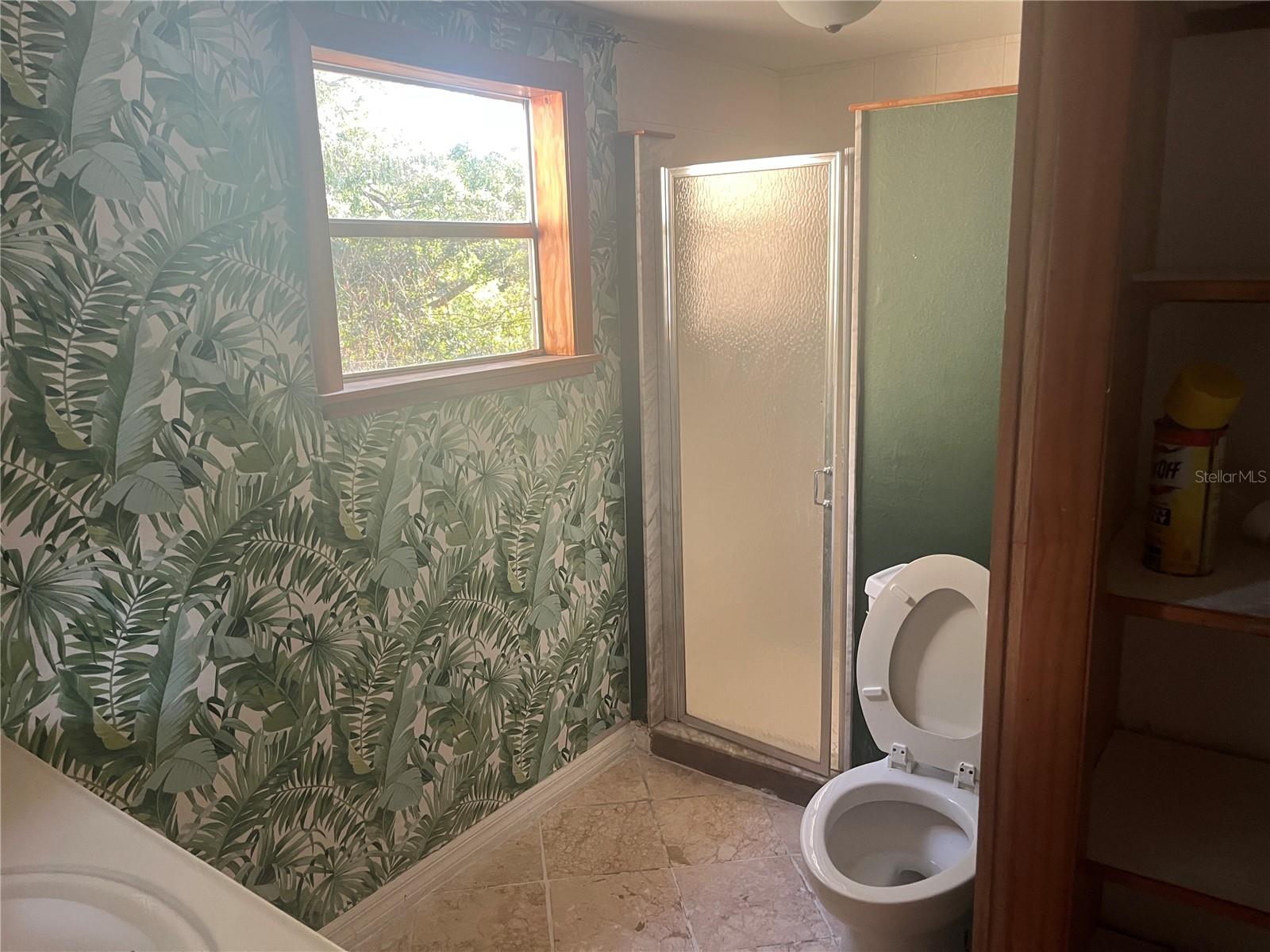 142 WINSTON AVE, LAKE WALES, FL, 33853