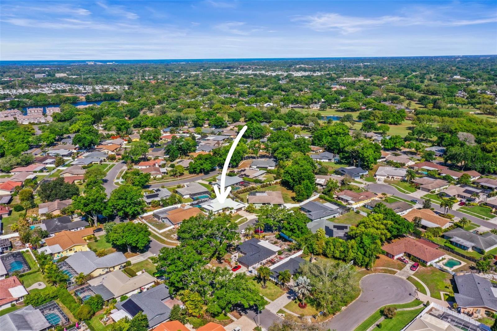 2778 CAPWOOD LN, CLEARWATER, FL, 33761