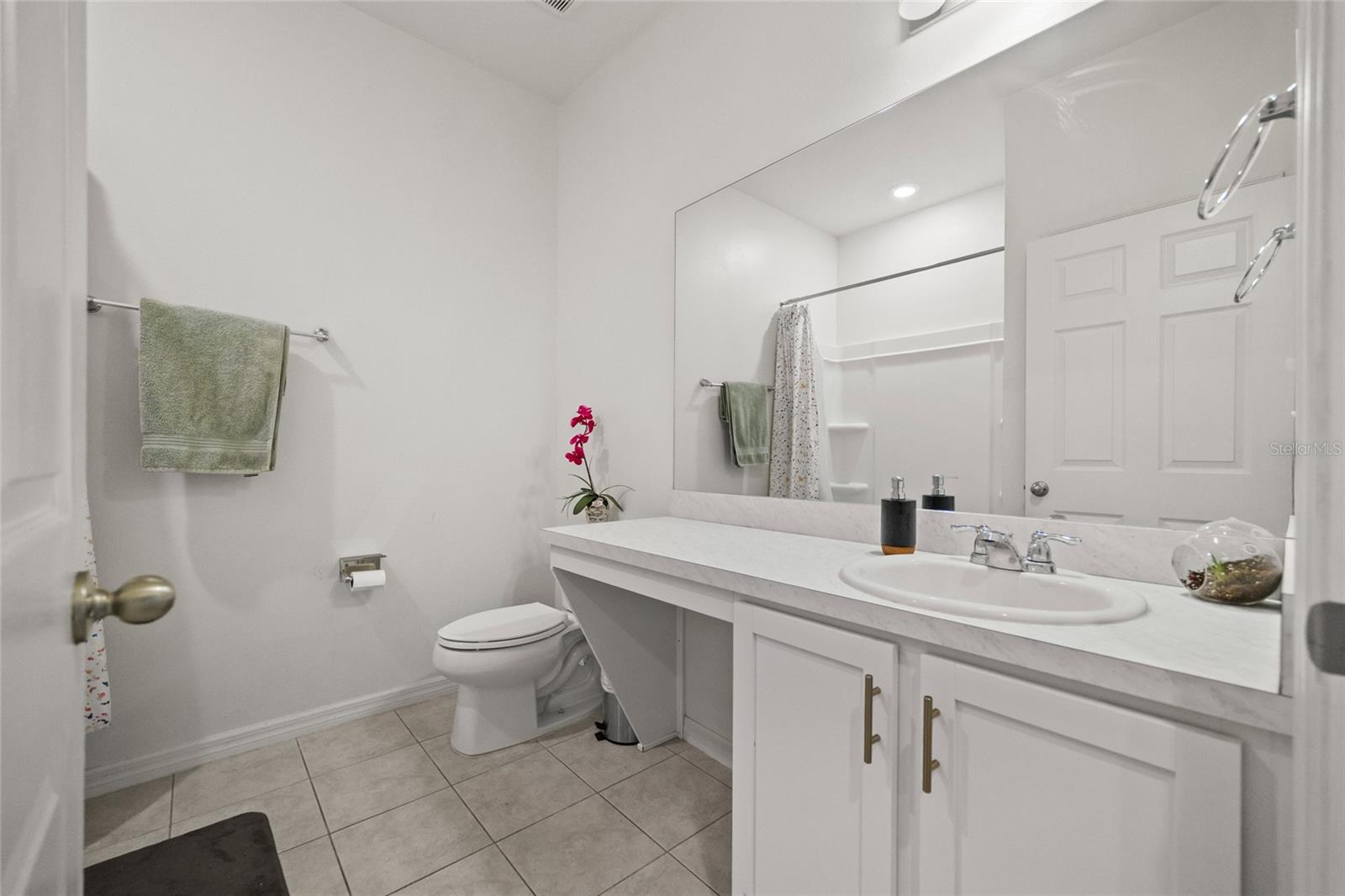 10630 MEDFORD LAKE DR, RIVERVIEW, FL, 33578