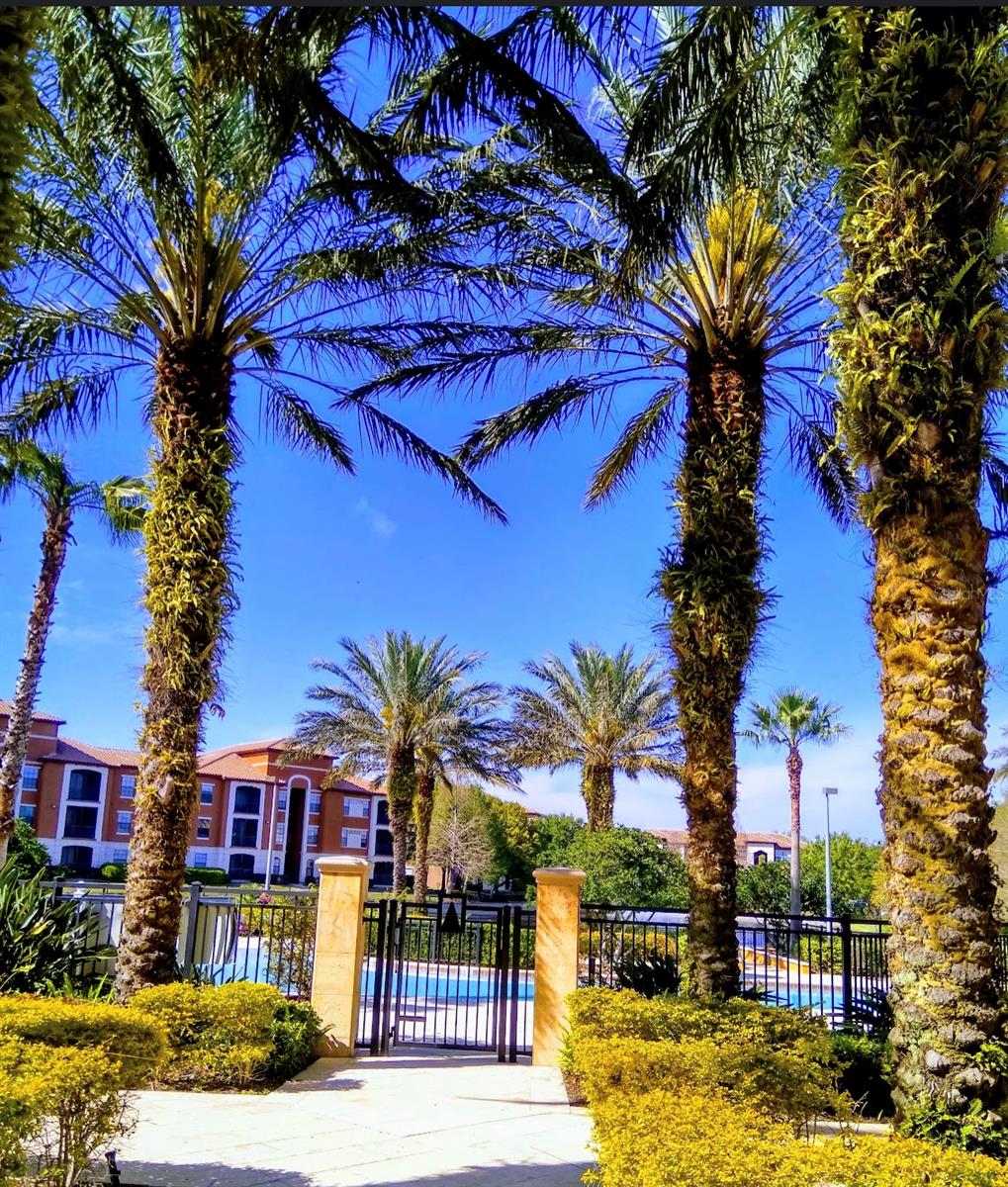 6137 METROWEST BLVD #307, ORLANDO, FL, 32835