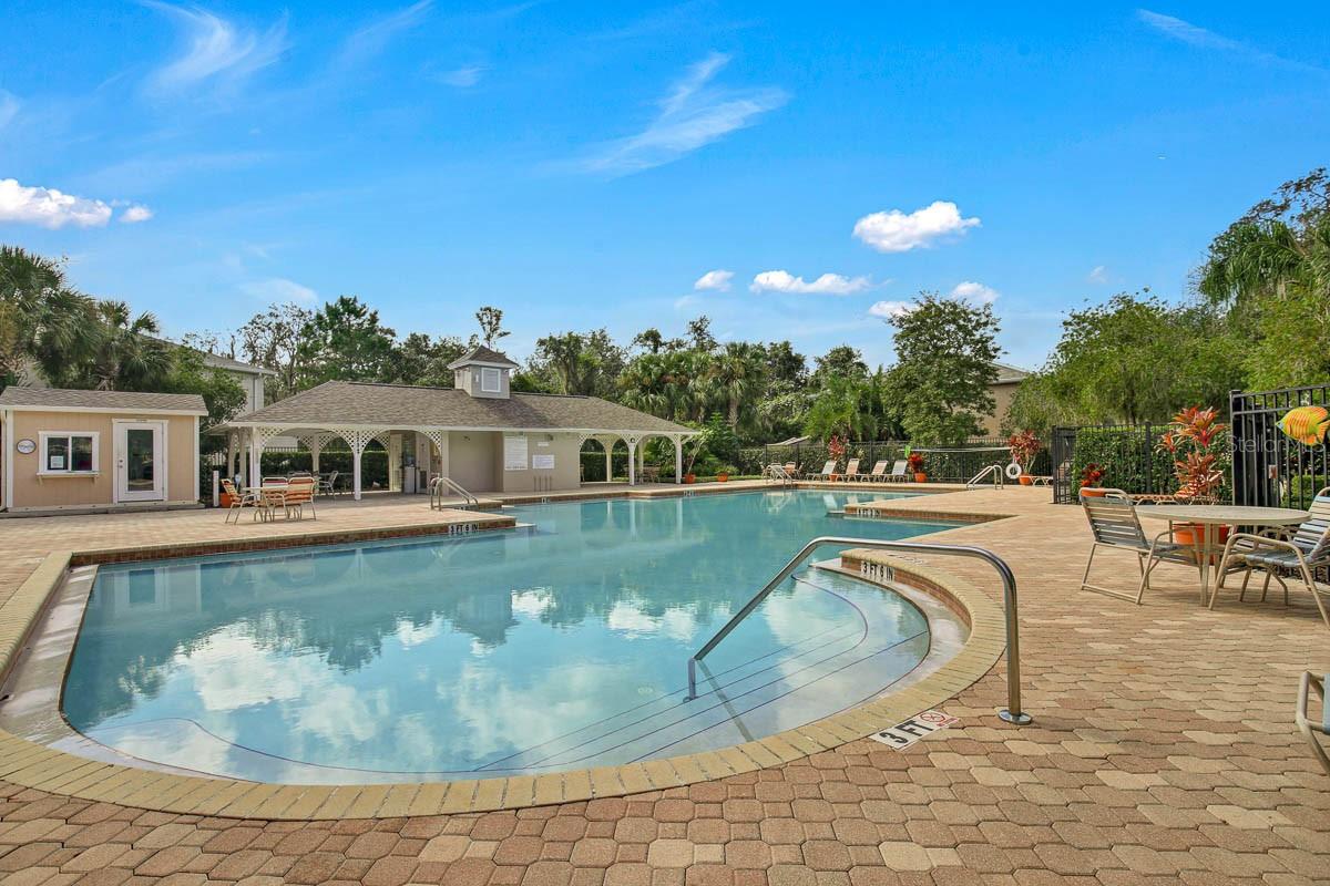 5890 FISHHAWK RIDGE DR, LITHIA, FL, 33547