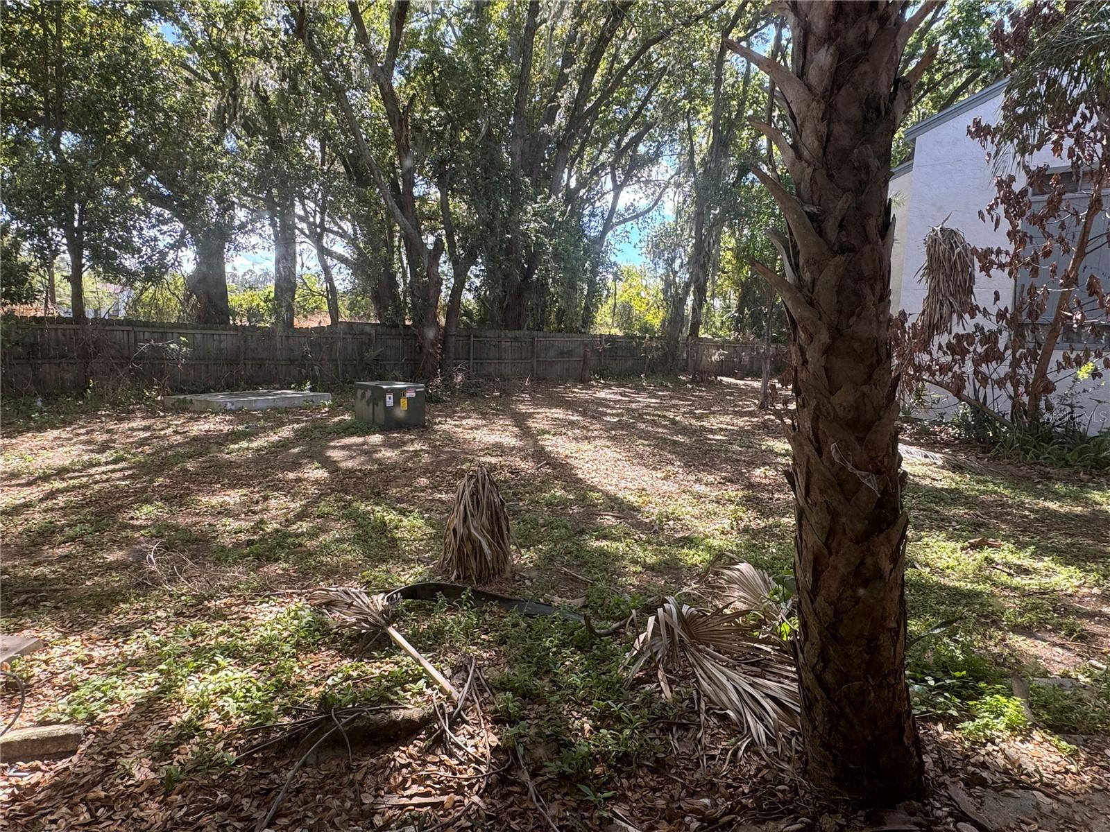 2412 LEMON TREE LN #D, ORLANDO, FL, 32839