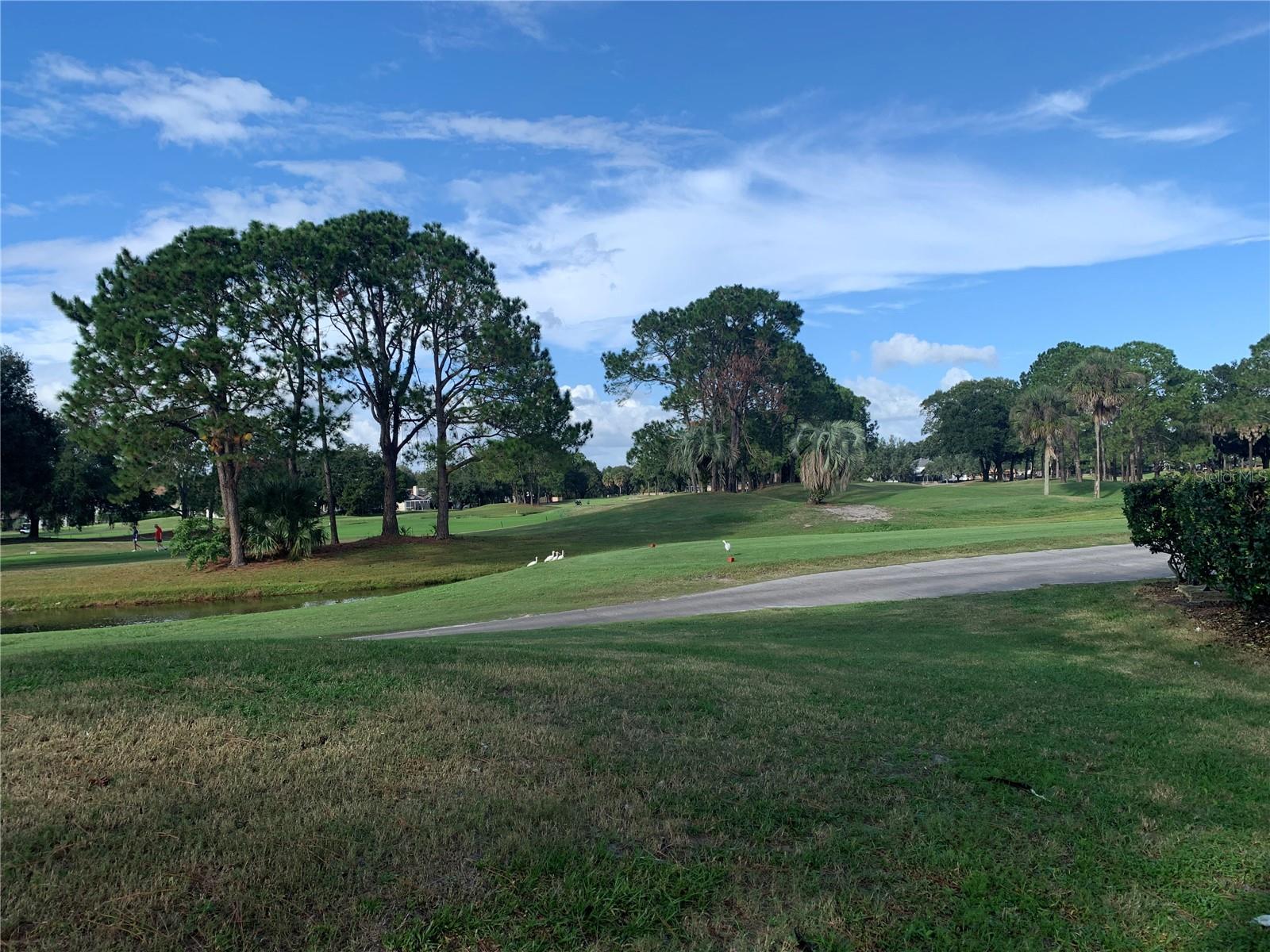 8718 IMPERIAL CT, TAMPA, FL, 33635