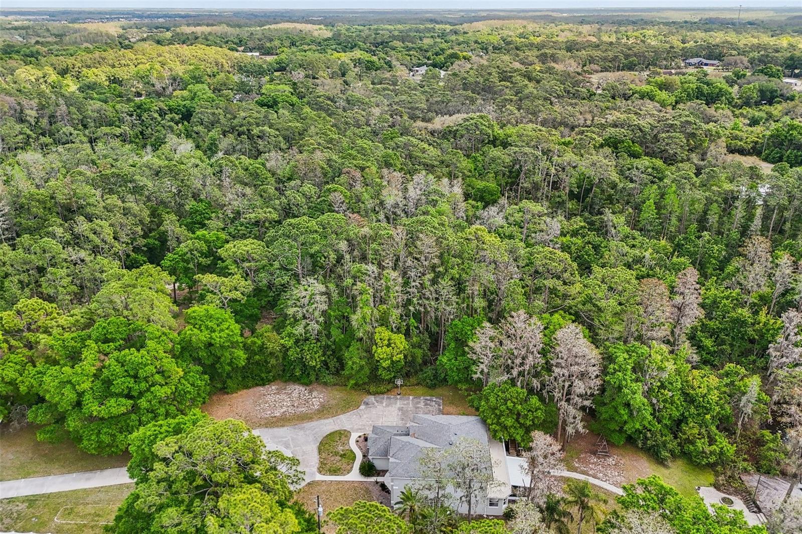 14714 COLOMA LN, ODESSA, FL, 33556
