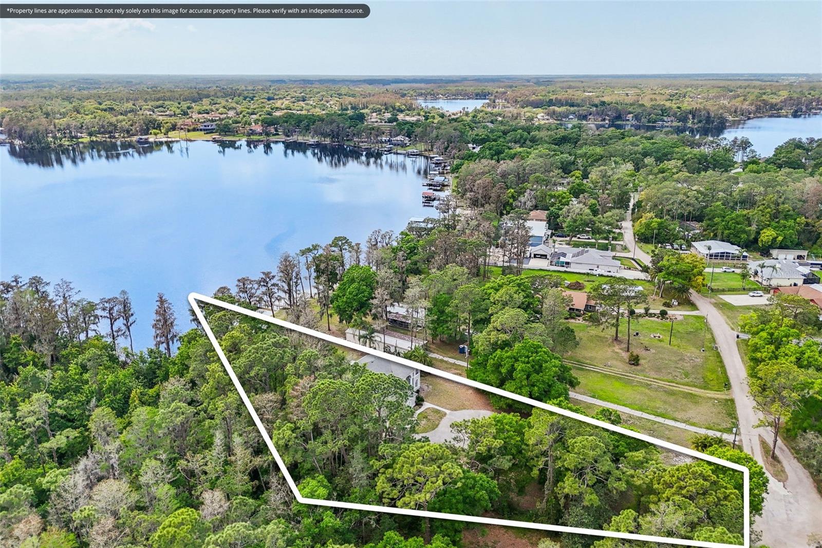 14714 COLOMA LN, ODESSA, FL, 33556