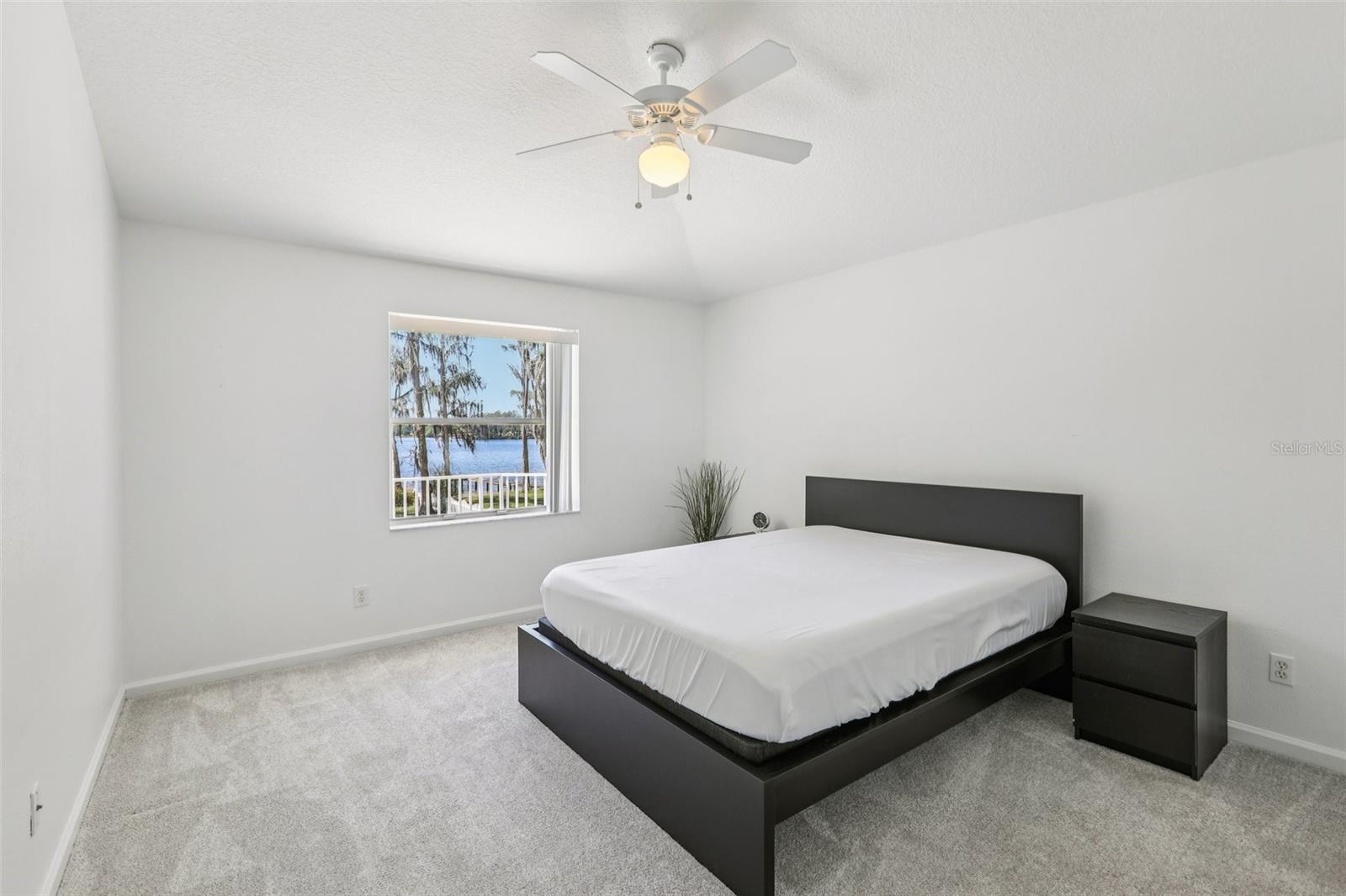 14714 COLOMA LN, ODESSA, FL, 33556
