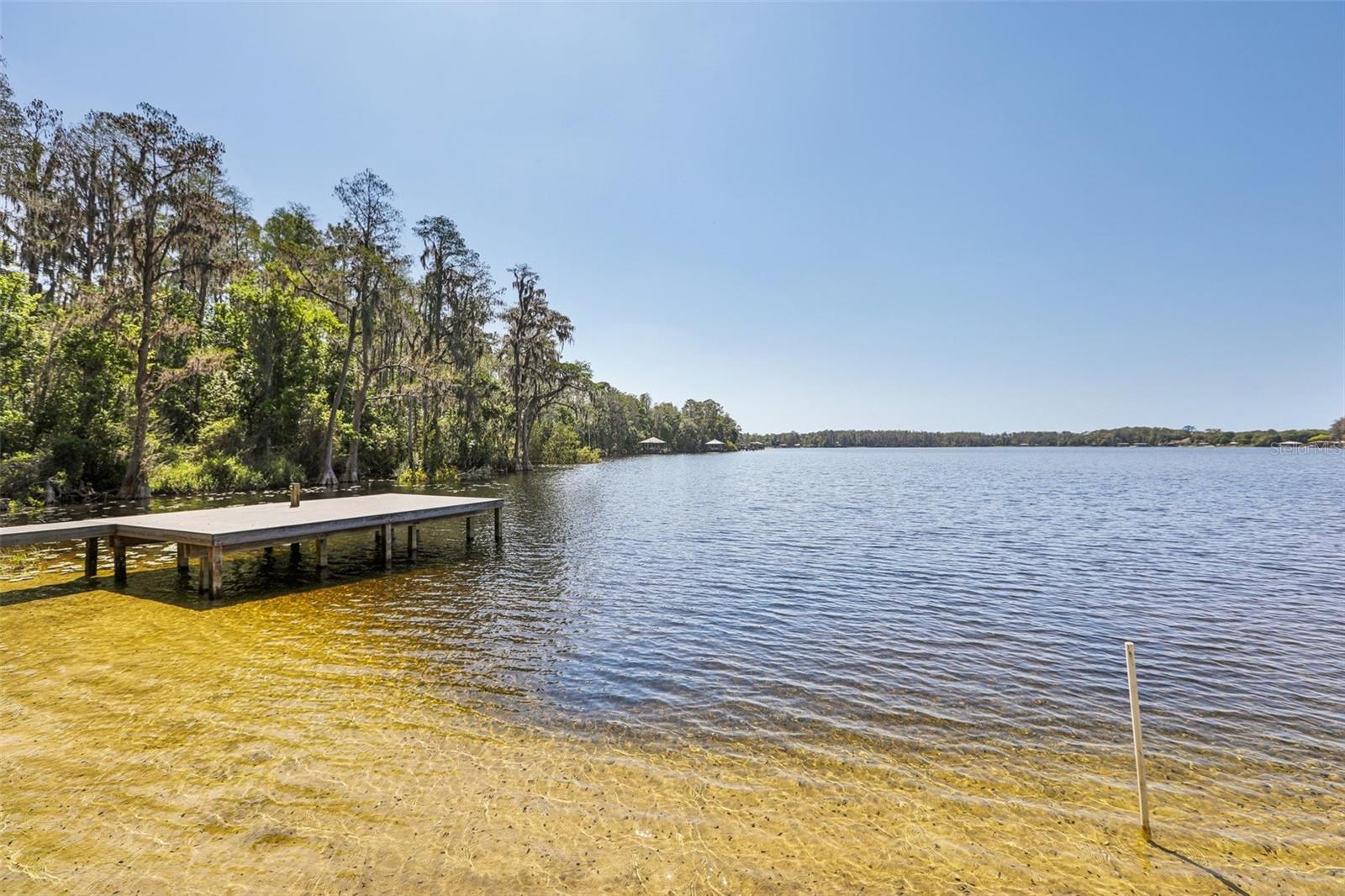 14714 COLOMA LN, ODESSA, FL, 33556