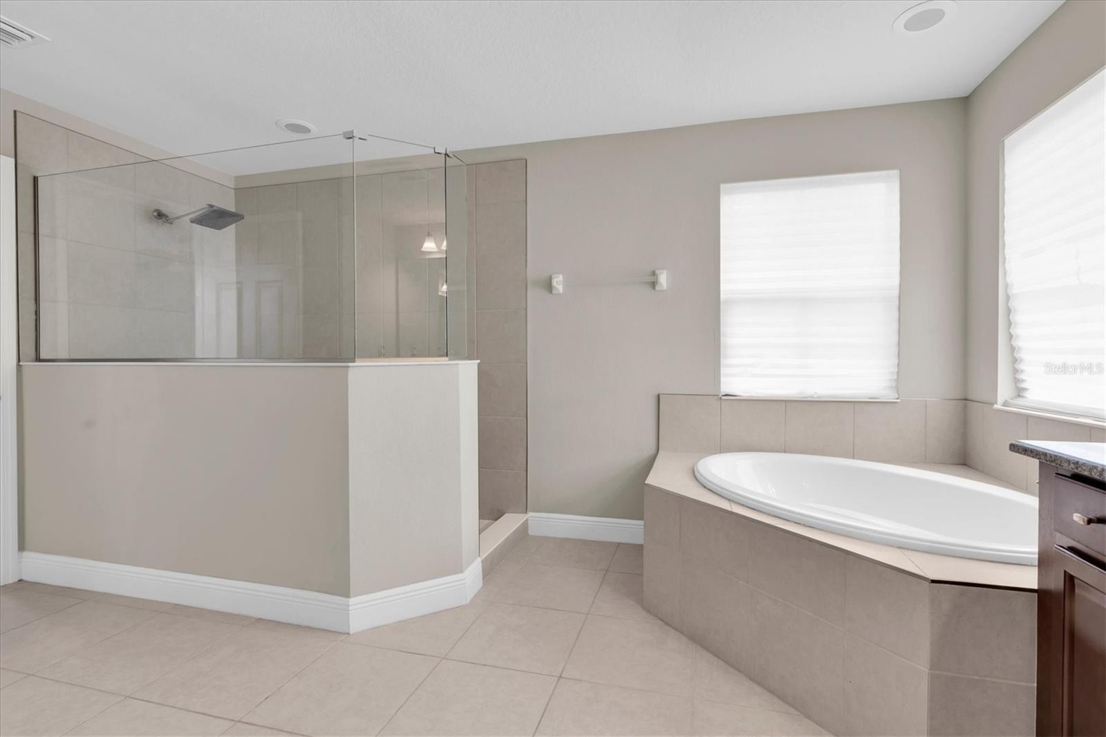 2468 WHITTLER BR, ODESSA, FL, 33556