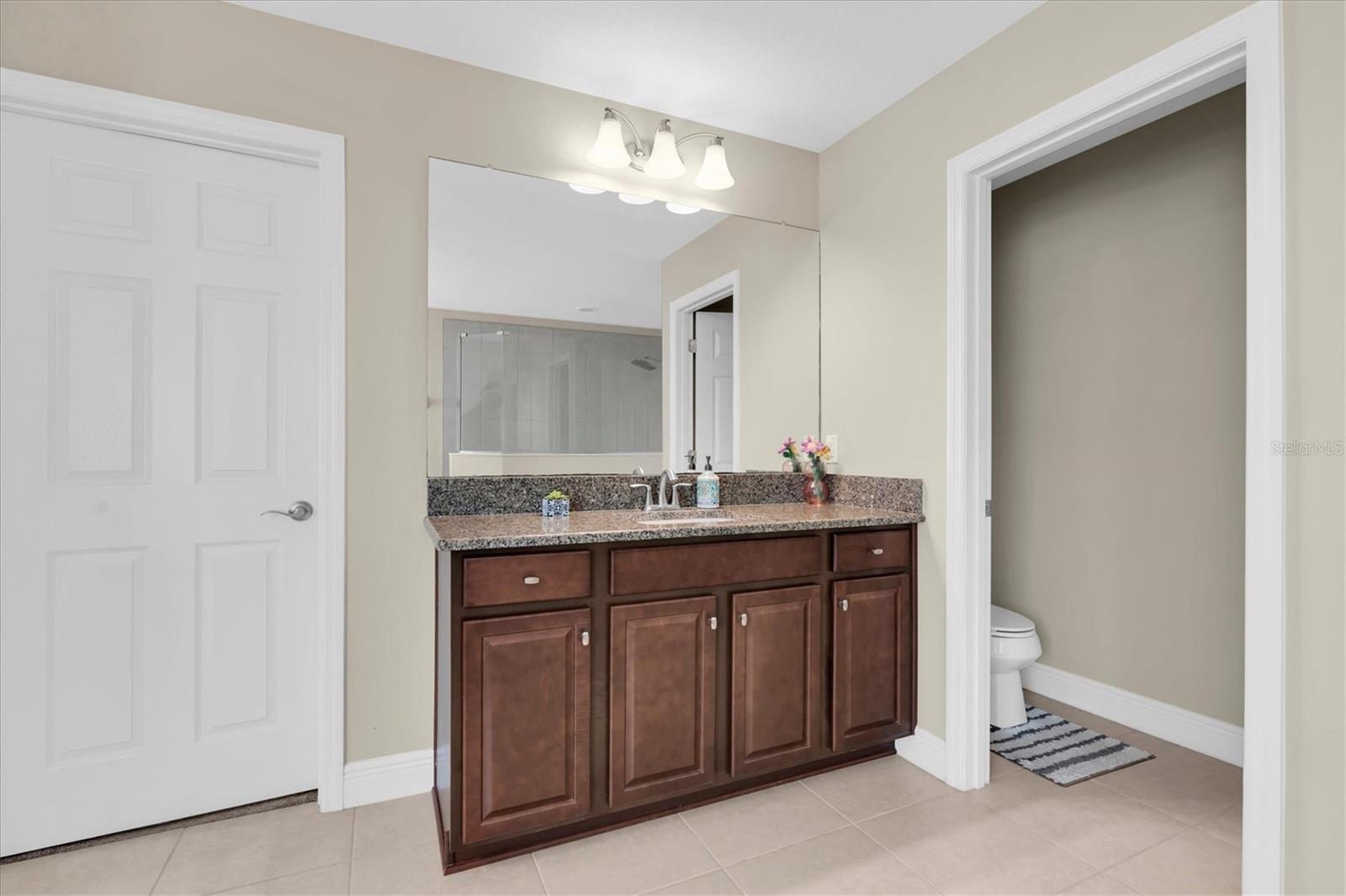 2468 WHITTLER BR, ODESSA, FL, 33556