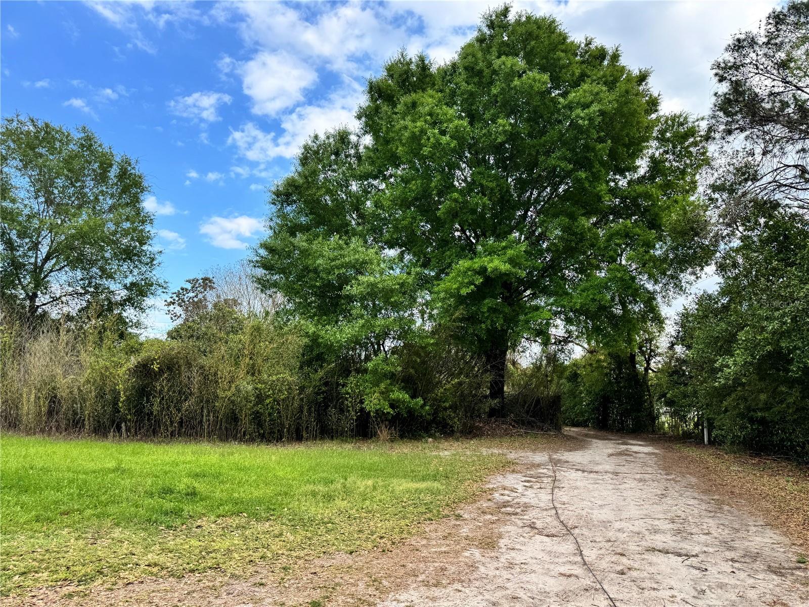 3627 MORRIS BRIDGE RD, WESLEY CHAPEL, FL, 33543