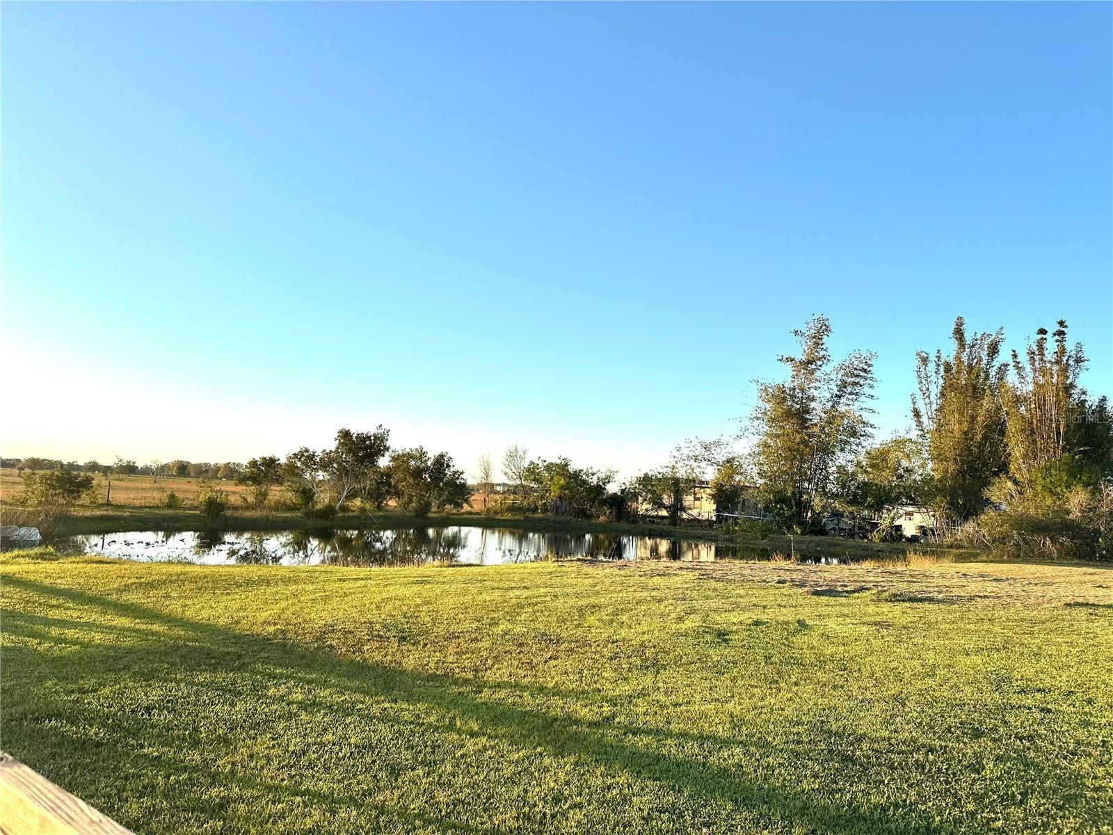 35495 SINGLETARY RD, MYAKKA CITY, FL, 34251
