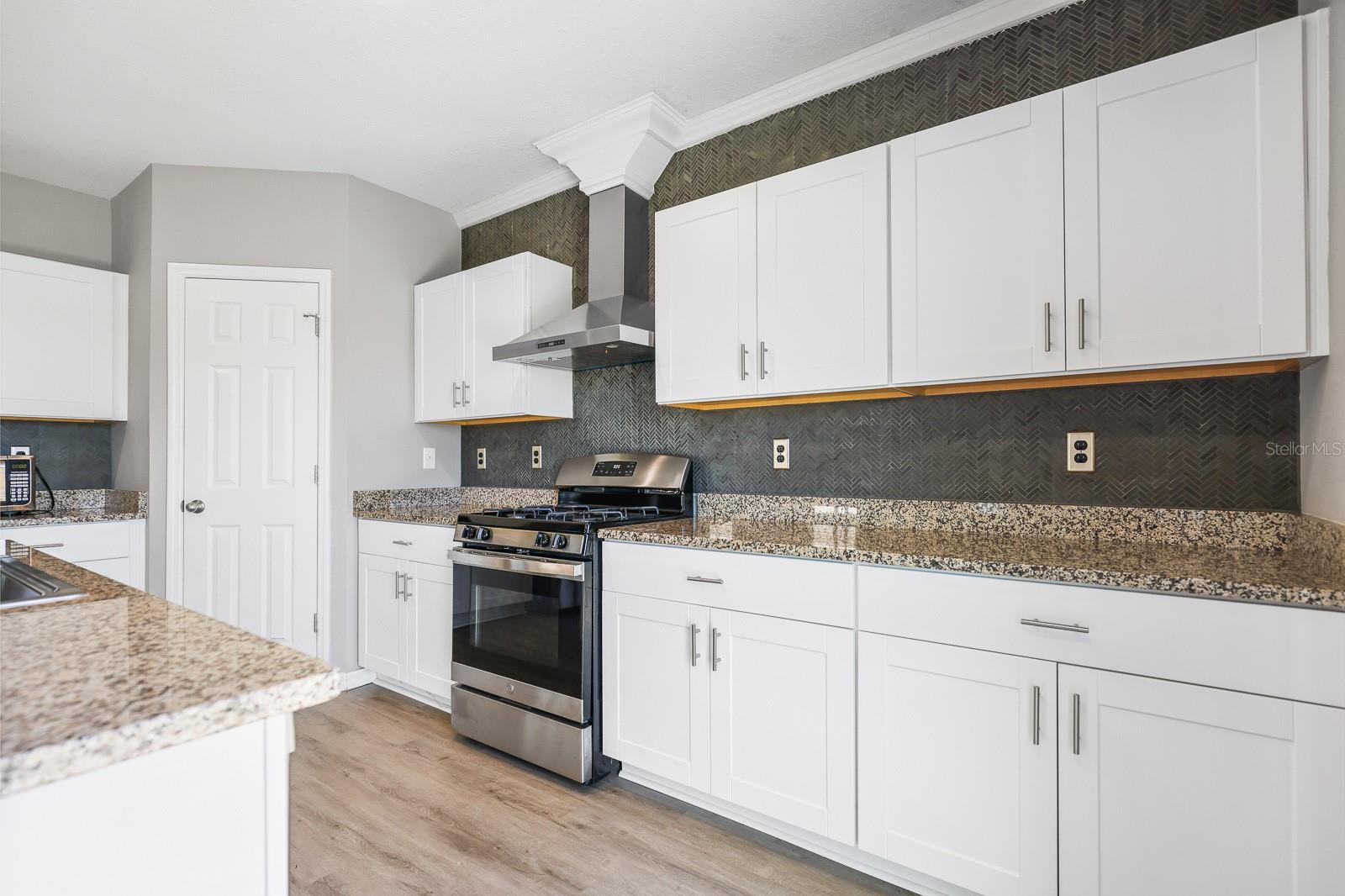 14649 BRUMBY RIDGE AVE, LITHIA, FL, 33547