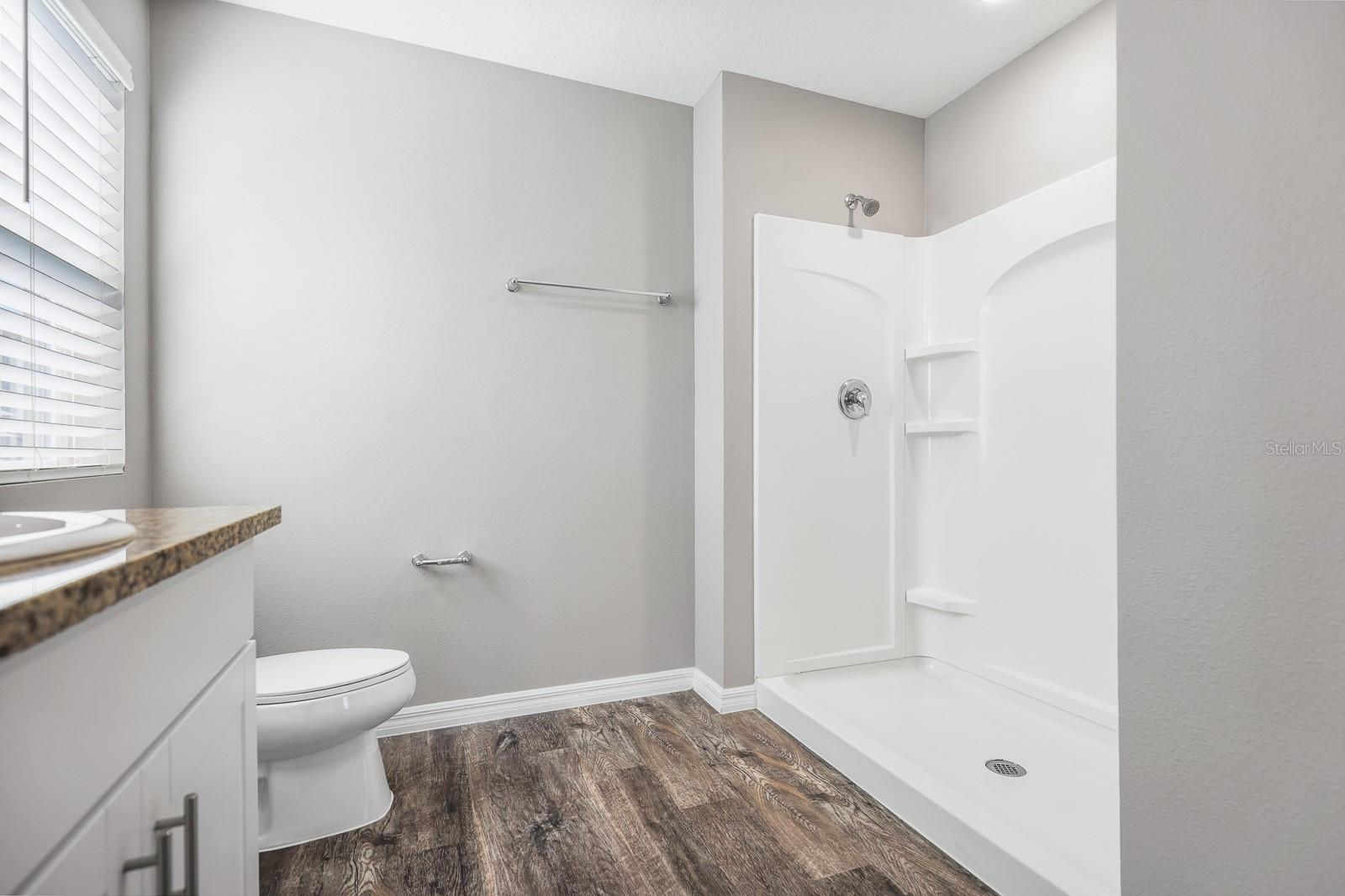 14649 BRUMBY RIDGE AVE, LITHIA, FL, 33547