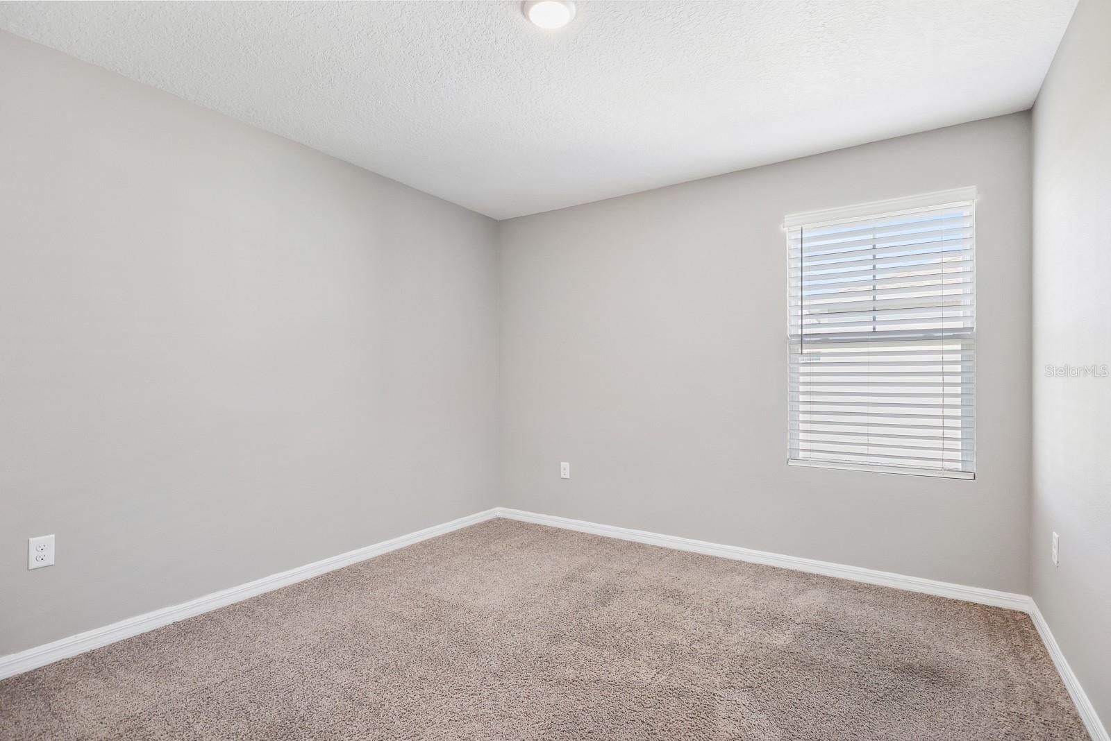 14649 BRUMBY RIDGE AVE, LITHIA, FL, 33547