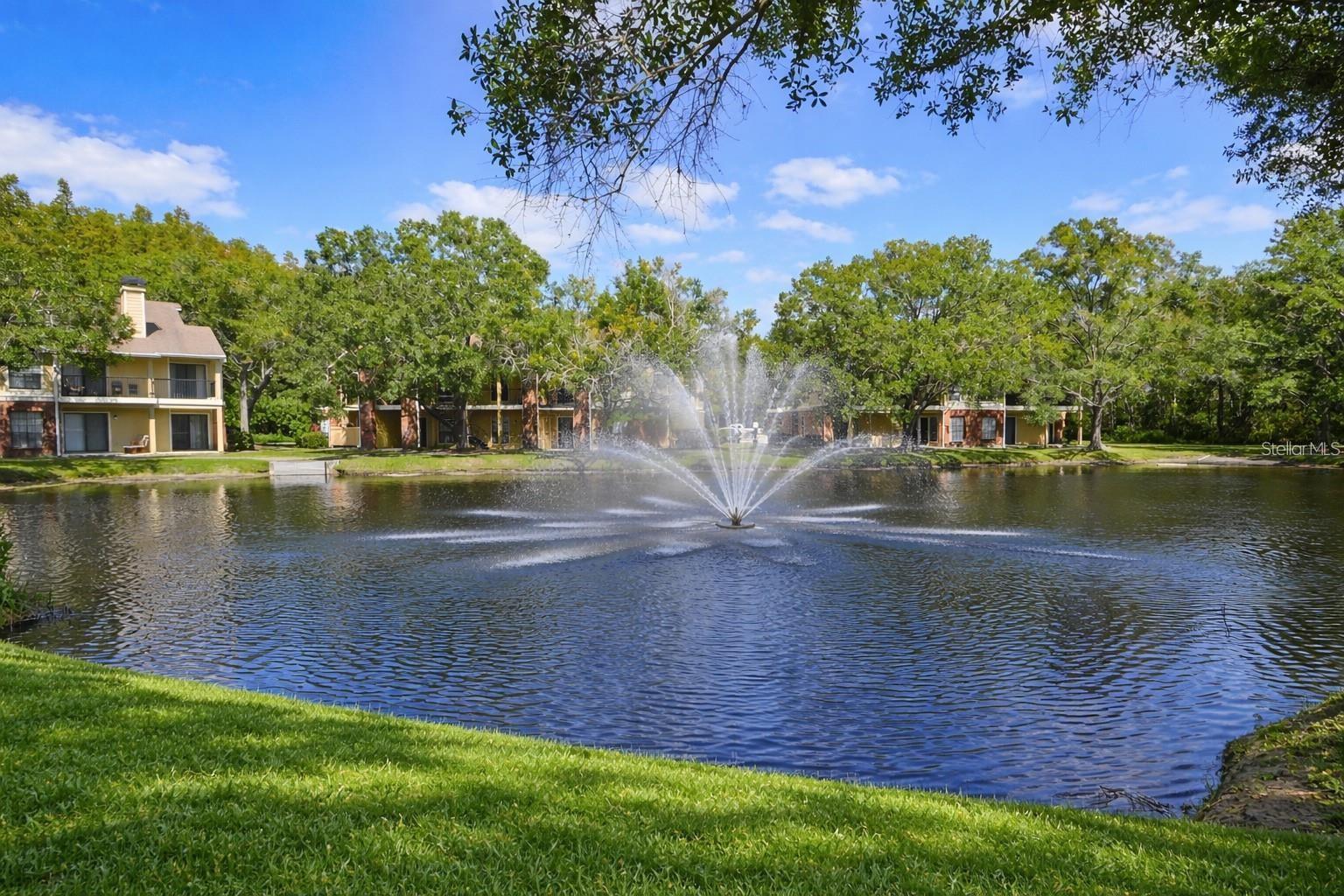 8756 MALLARD RESERVE DR #101, TAMPA, FL, 33614