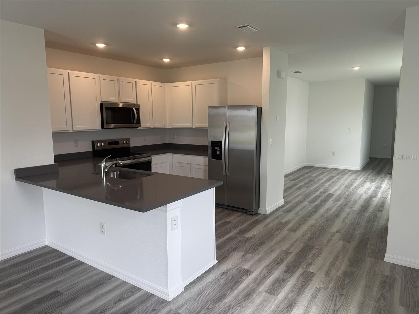 32909 OSPREY PEAK WAY, SAN ANTONIO, FL, 33576