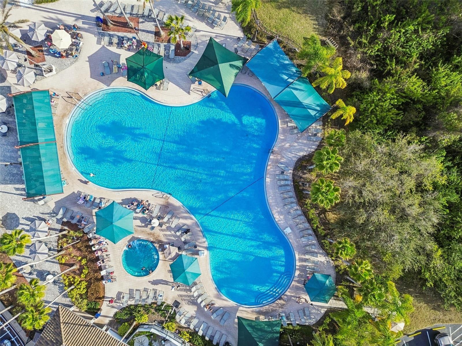 2306 OAKLEY GREEN DR #62, SUN CITY CENTER, FL, 33573