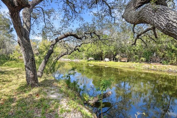 1212 WEYBRIDGE LN, DUNEDIN, FL, 34698