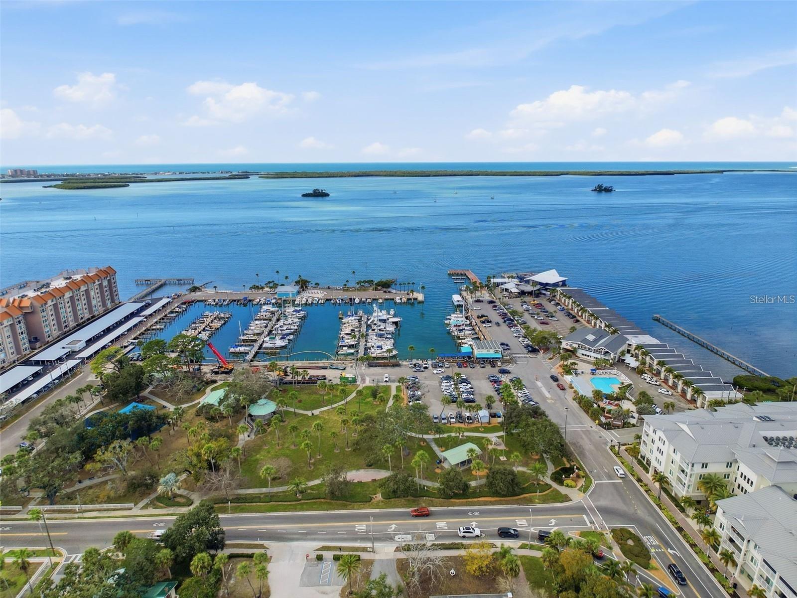 1212 WEYBRIDGE LN, DUNEDIN, FL, 34698