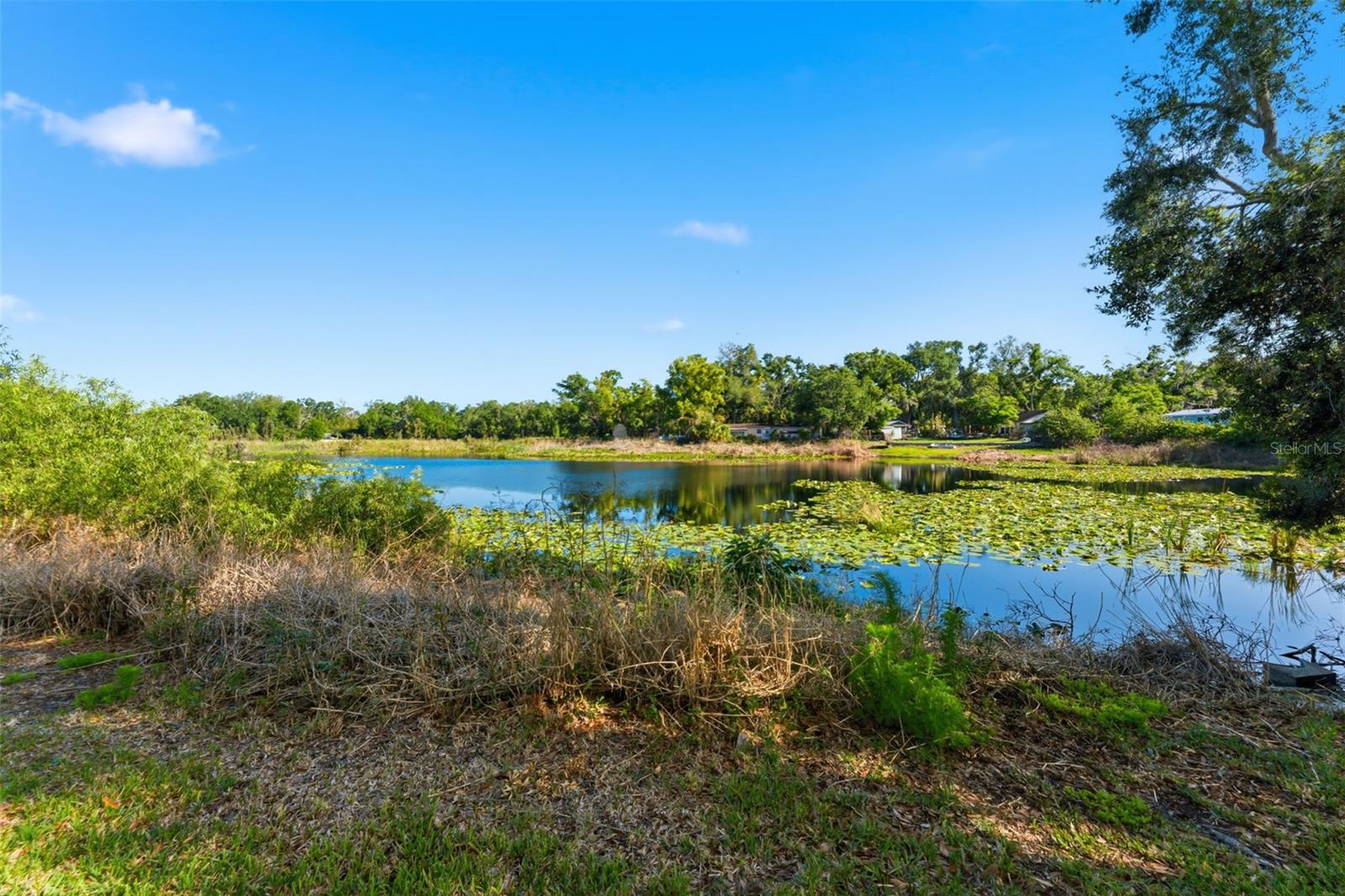 910 LINWOOD TER, LUTZ, FL, 33549