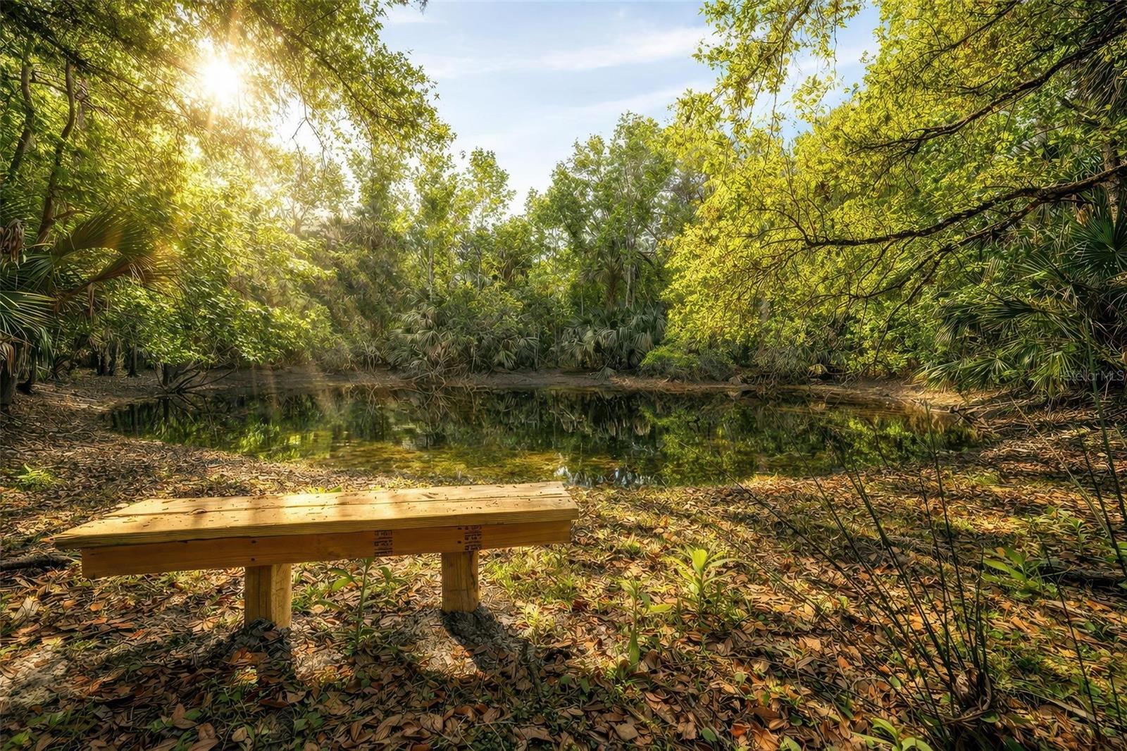 2200 RETREAT RD, GENEVA, FL, 32732