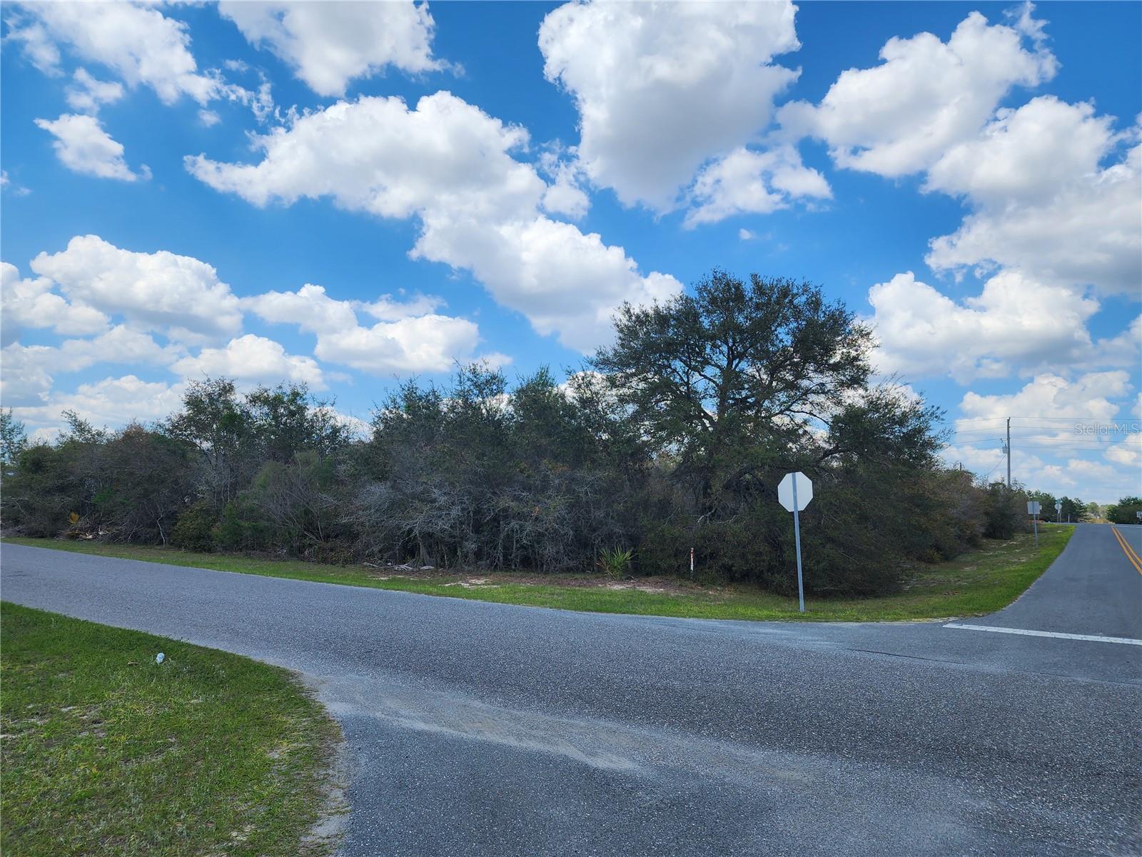 SW 110TH LN, OCALA, FL, 34476