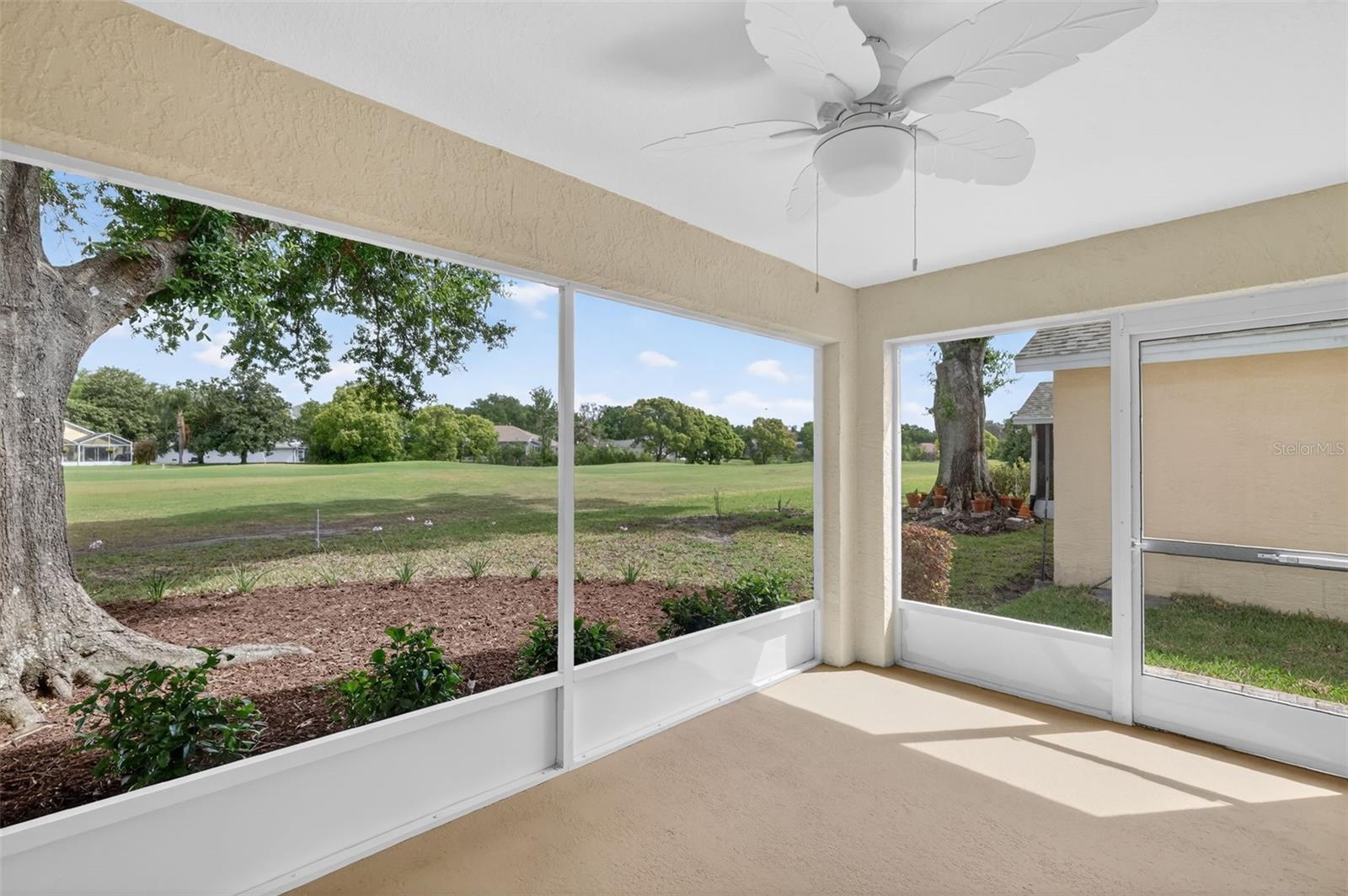 6027 SPRING CREEK CT, MOUNT DORA, FL, 32757