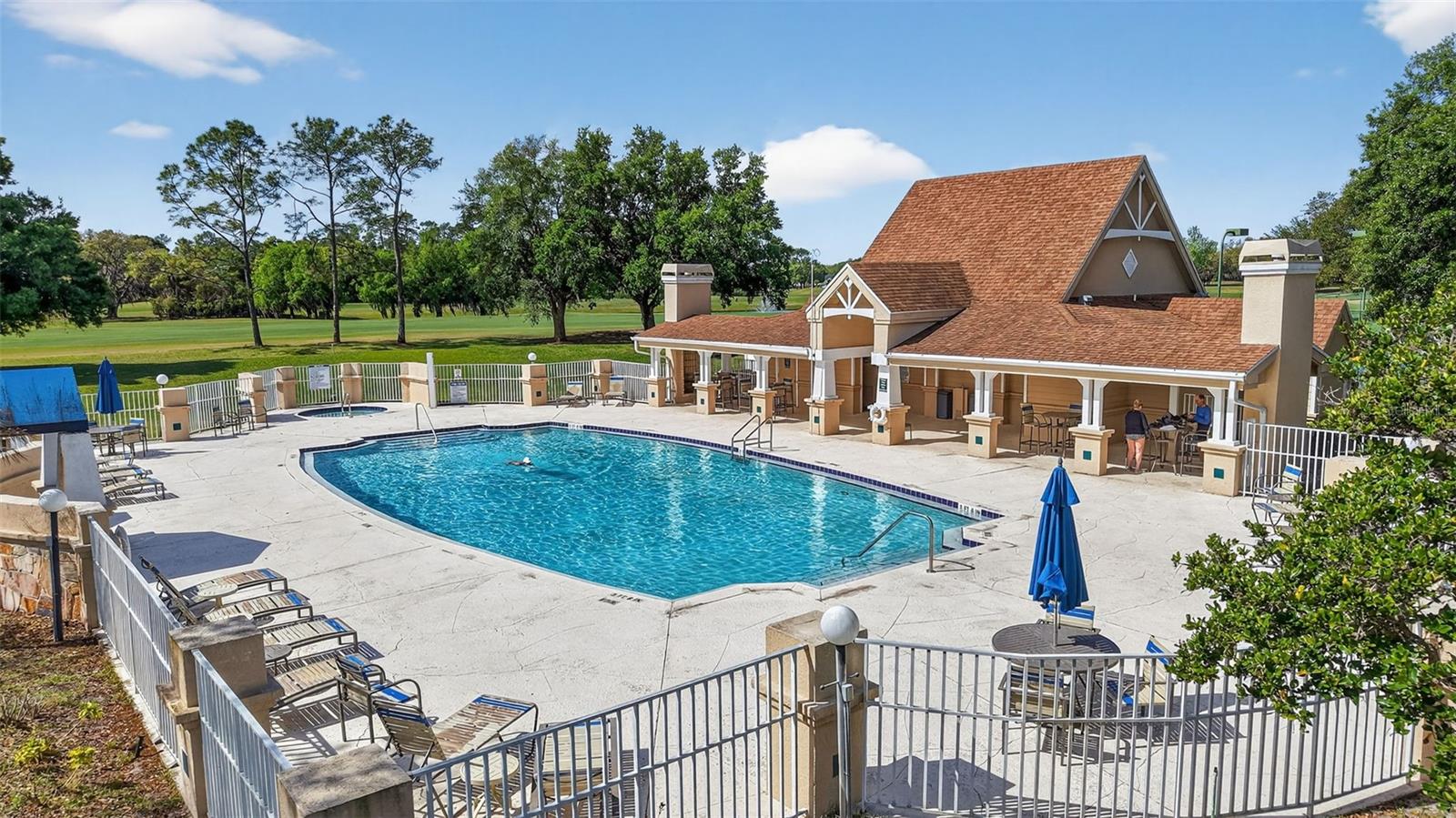 6027 SPRING CREEK CT, MOUNT DORA, FL, 32757