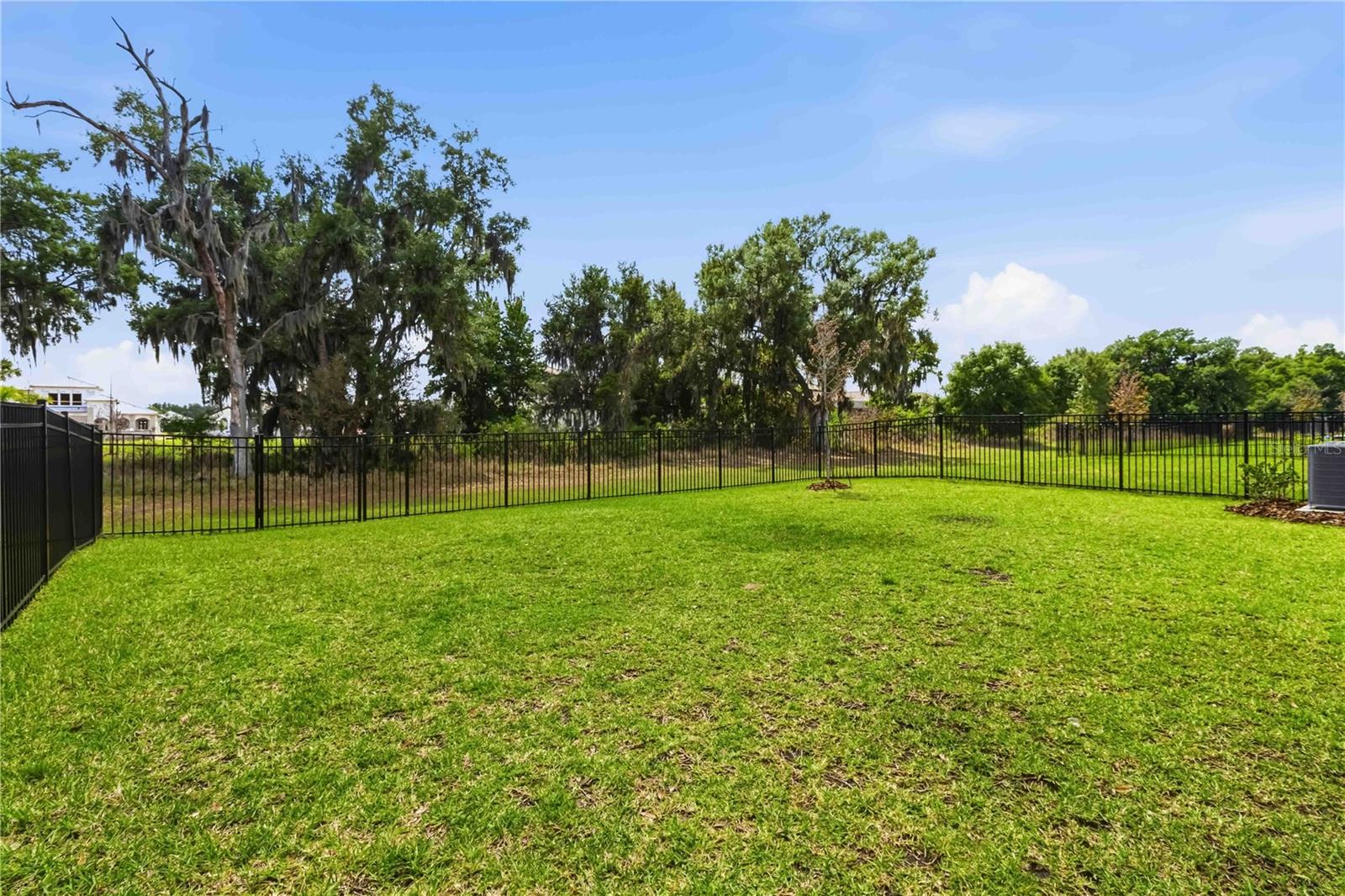 Fully Fenced Yard & Preserve/Tree View