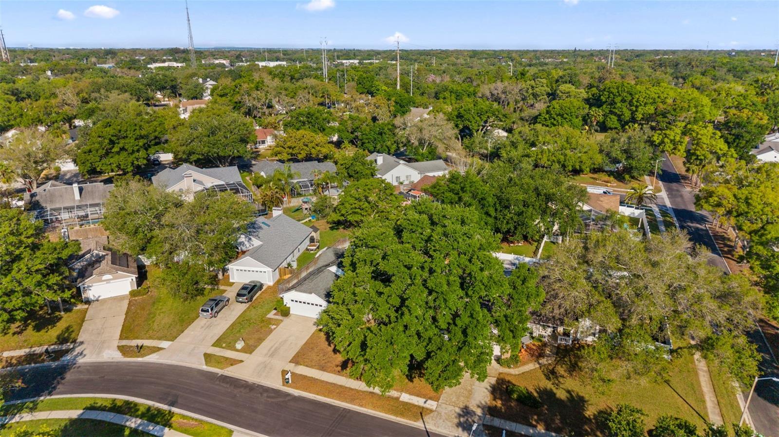 956 EDGEHILL DR, PALM HARBOR, FL, 34684