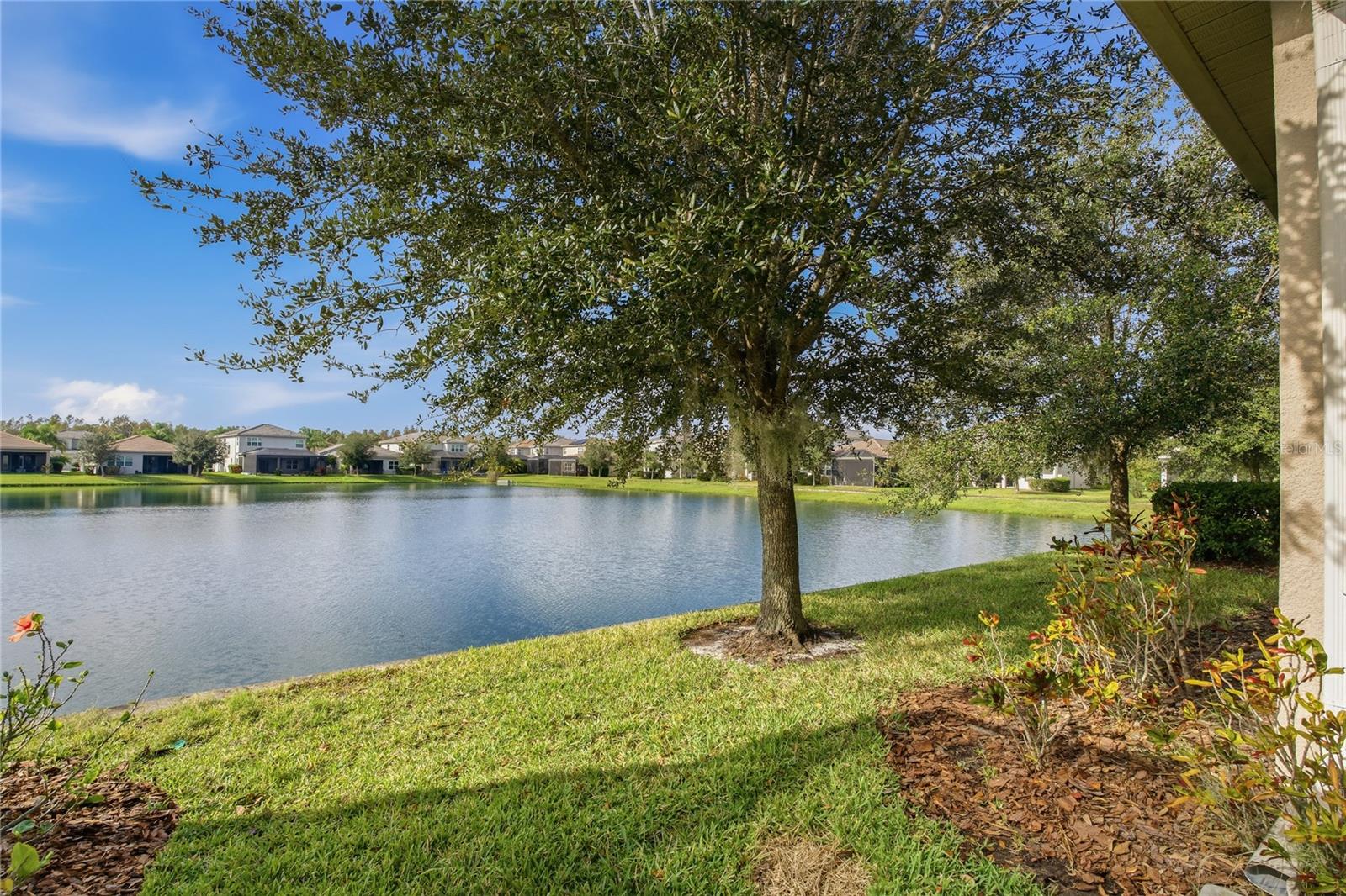 30588 CHESAPEAKE BAY DR, WESLEY CHAPEL, FL, 33543