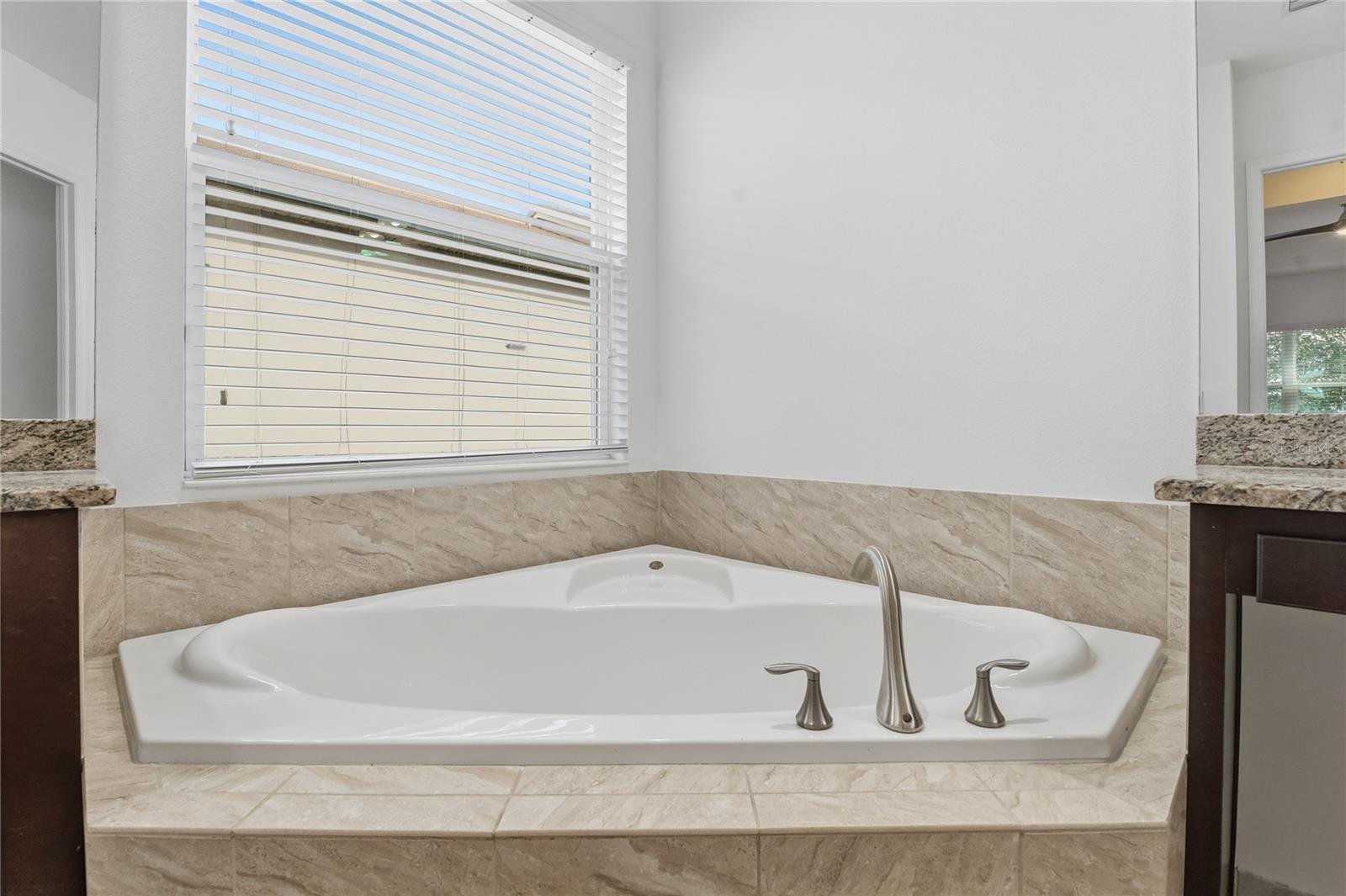 30588 CHESAPEAKE BAY DR, WESLEY CHAPEL, FL, 33543