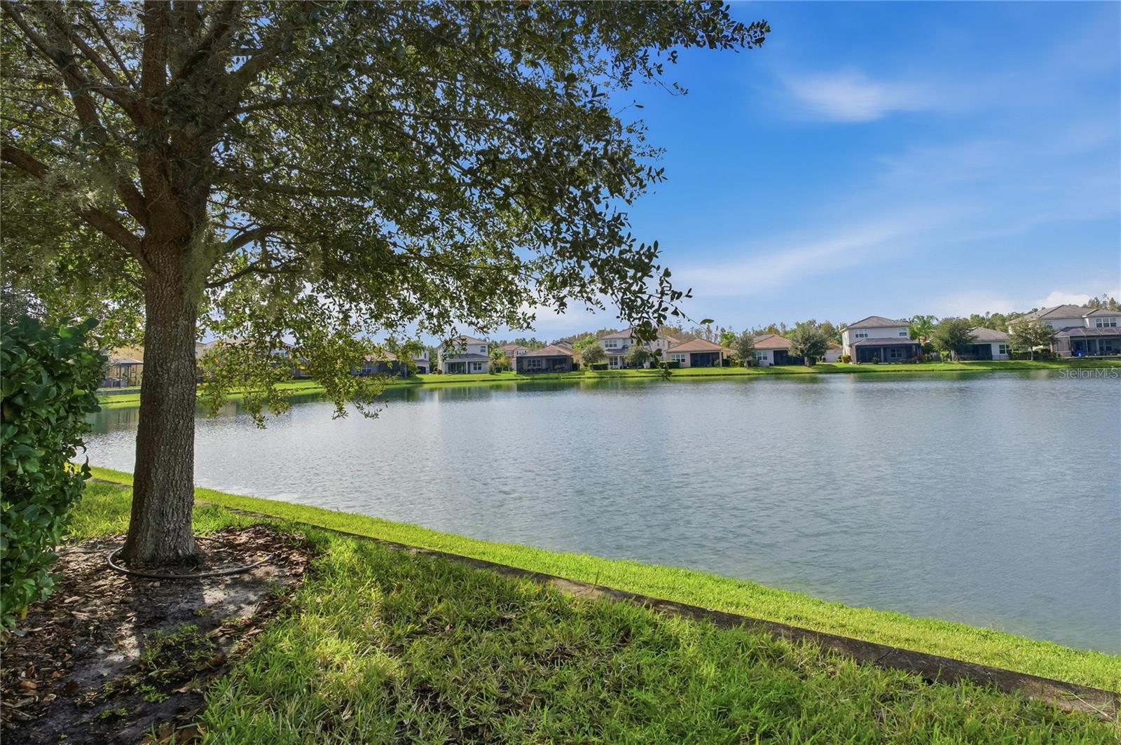 30588 CHESAPEAKE BAY DR, WESLEY CHAPEL, FL, 33543